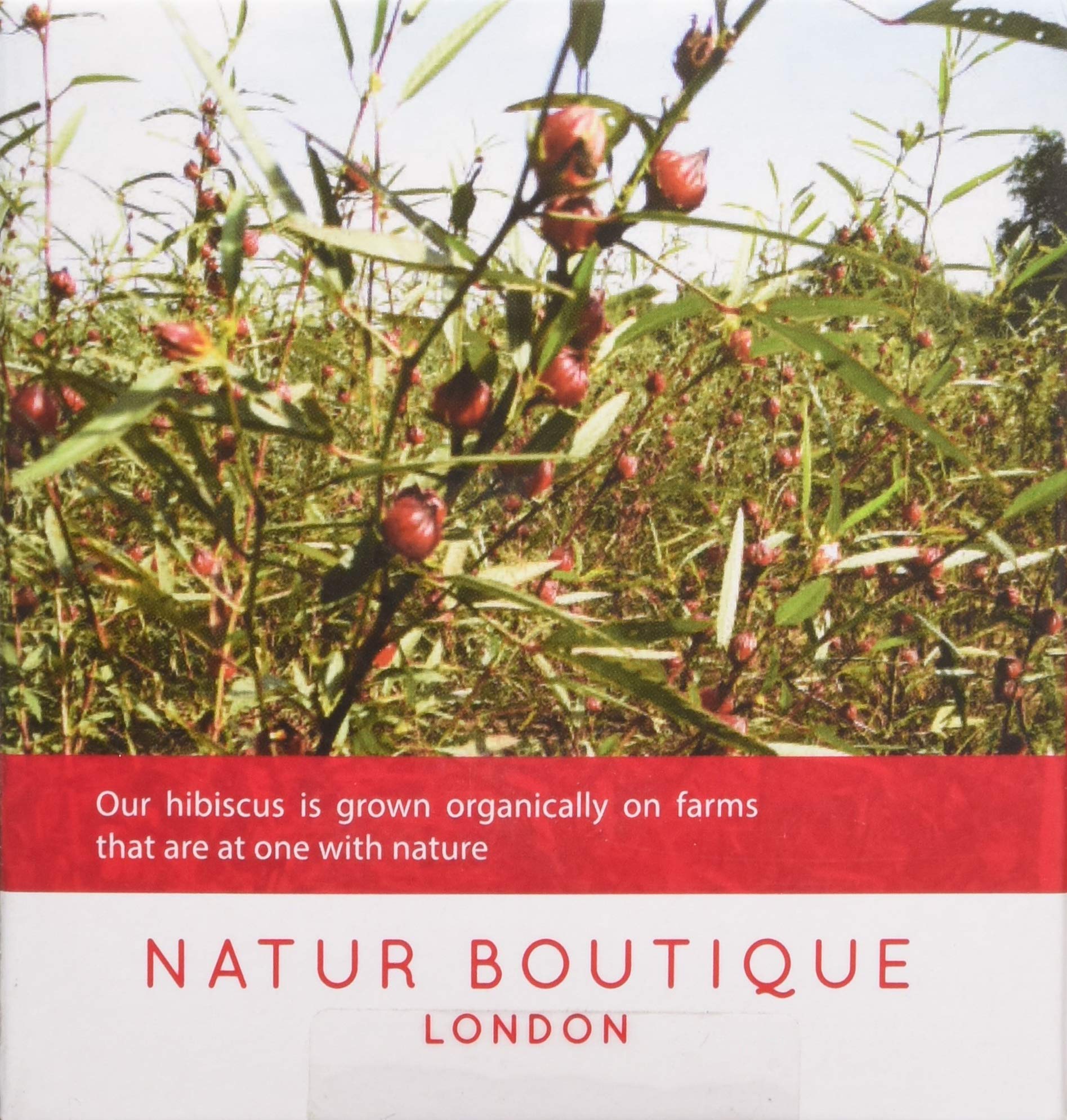 Natur Boutique Organic Hibiscus Tea - Pure Single Ingredient | 20 Sachets, 30g