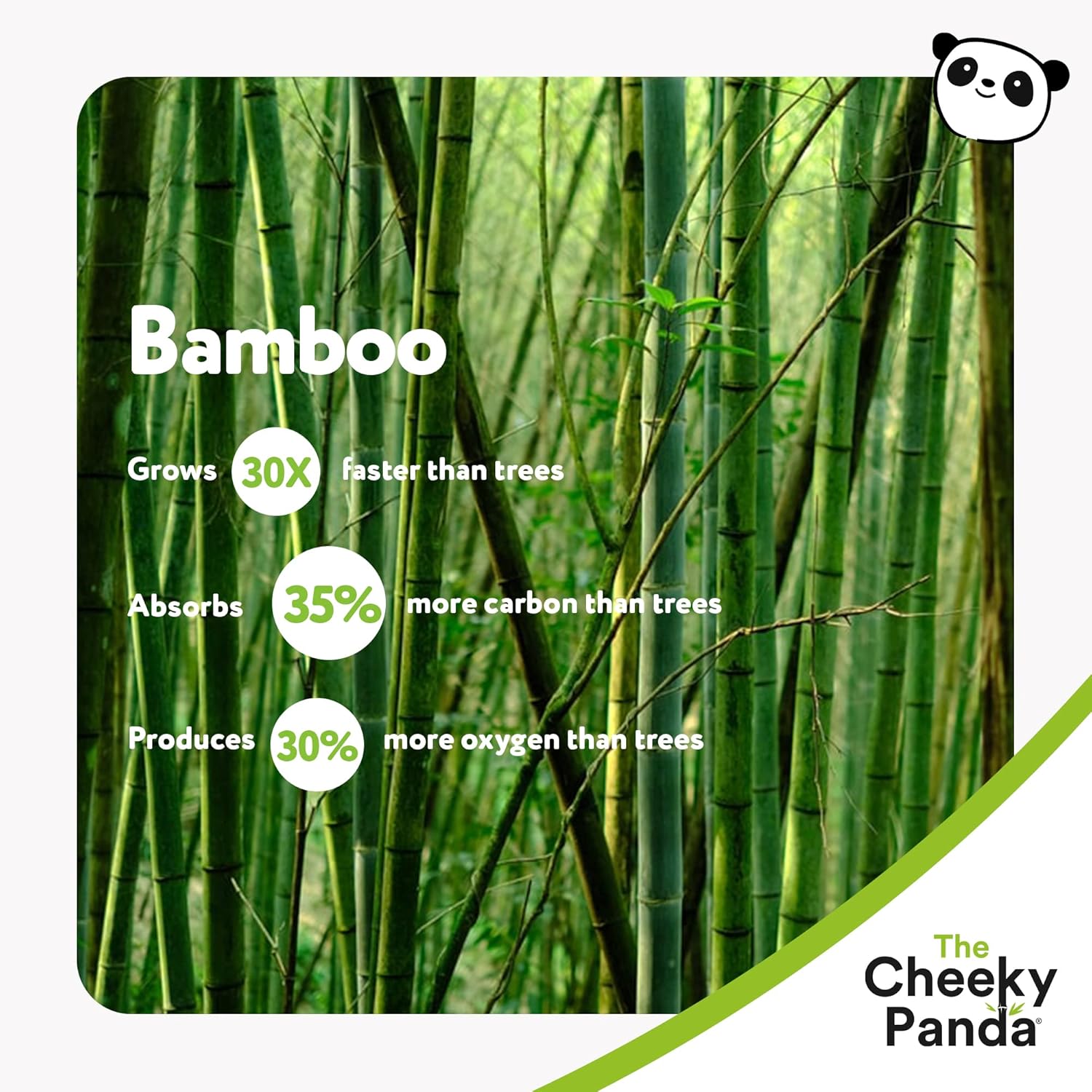 The Cheeky Panda - Bamboo Toilet Paper 9 Rolls | Plastic-Free, FSC-Certified, Hypoallergenic 6