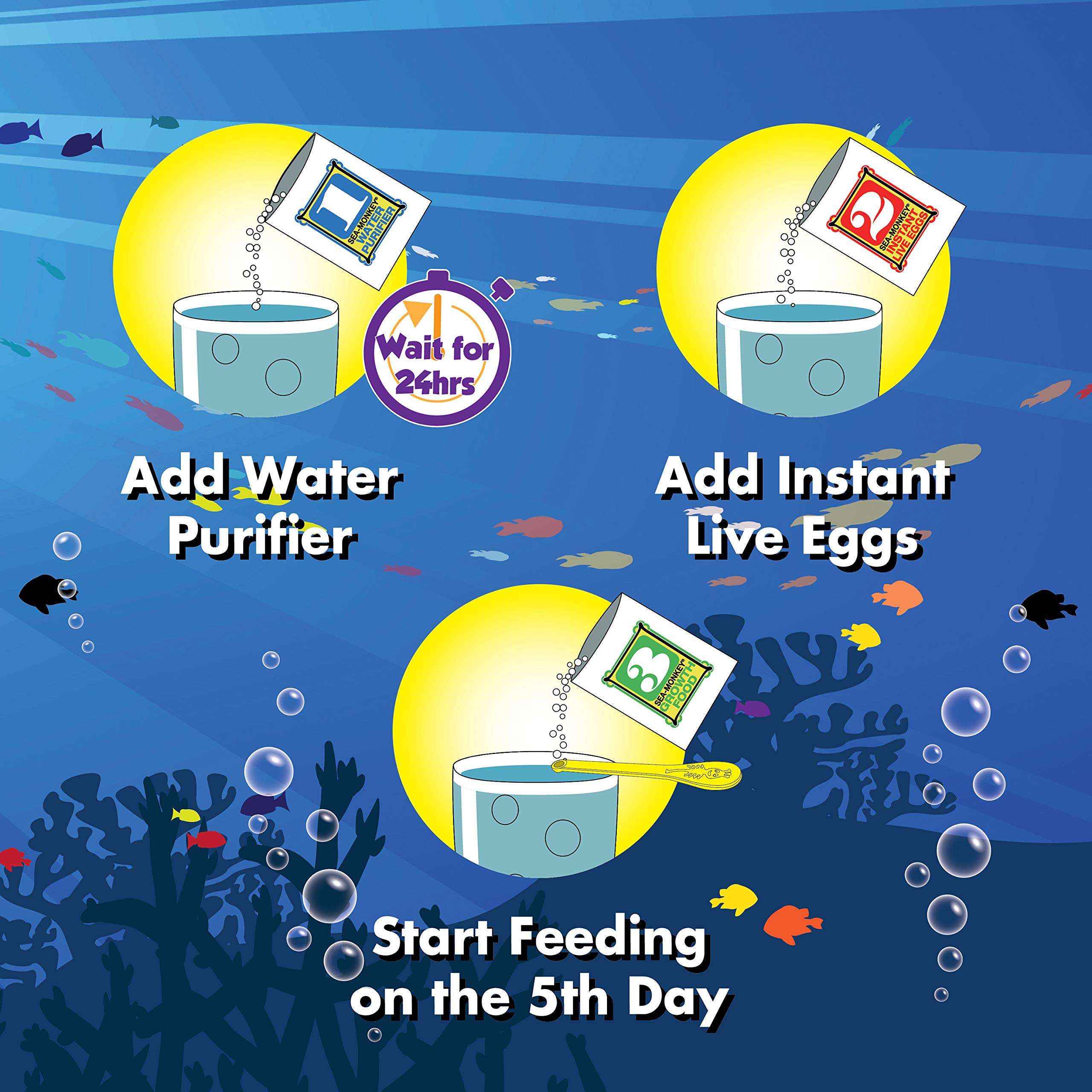 Sea Monkeys Mystery Egg Nachfüllset – Wissenschaftliches Experiment mit lebenden Artemia für Kinder ab 6 Jahren 6