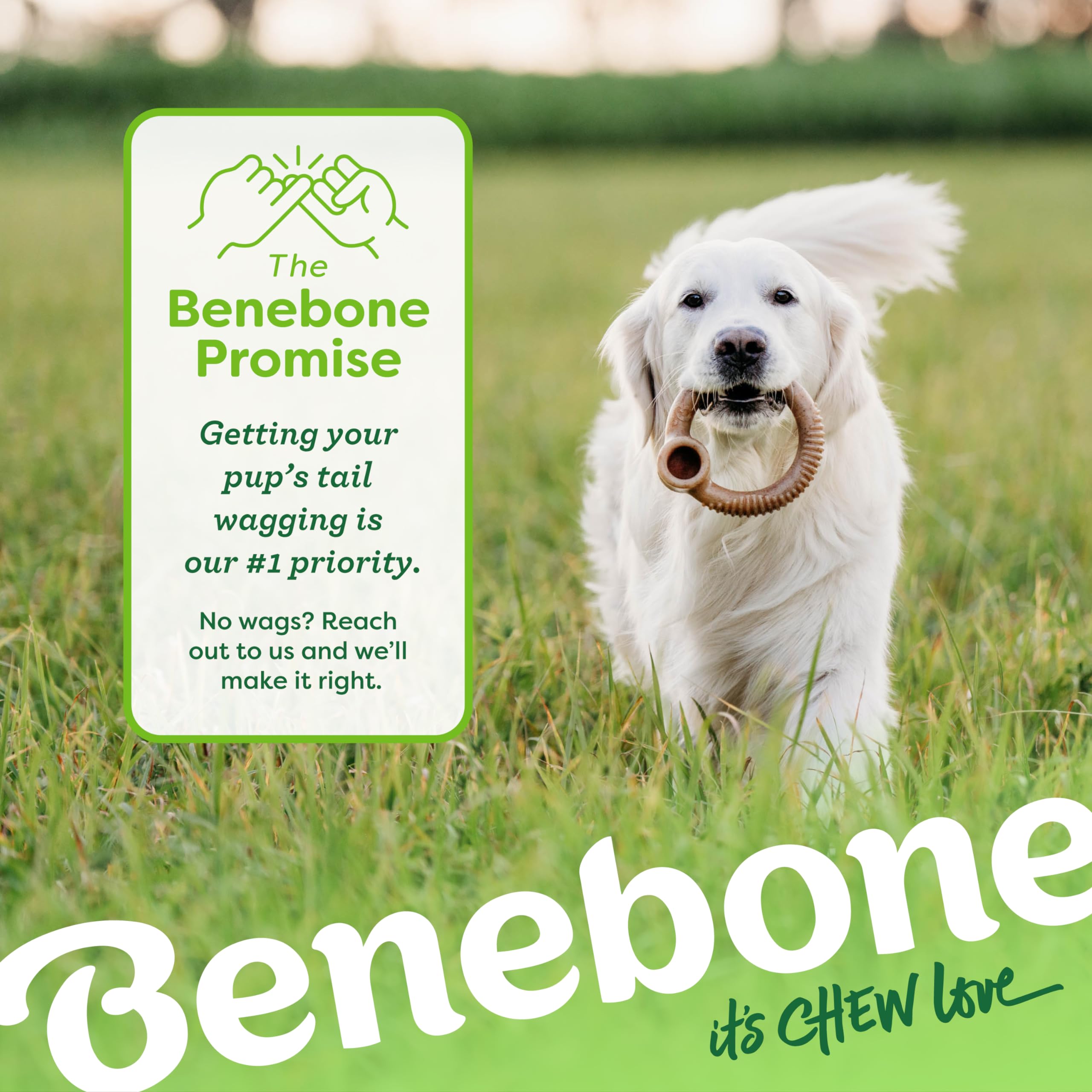 Benebone Ring Durable Dog Chew Toy - Real Bacon Flavor | Medium Size | Heavy Duty 6