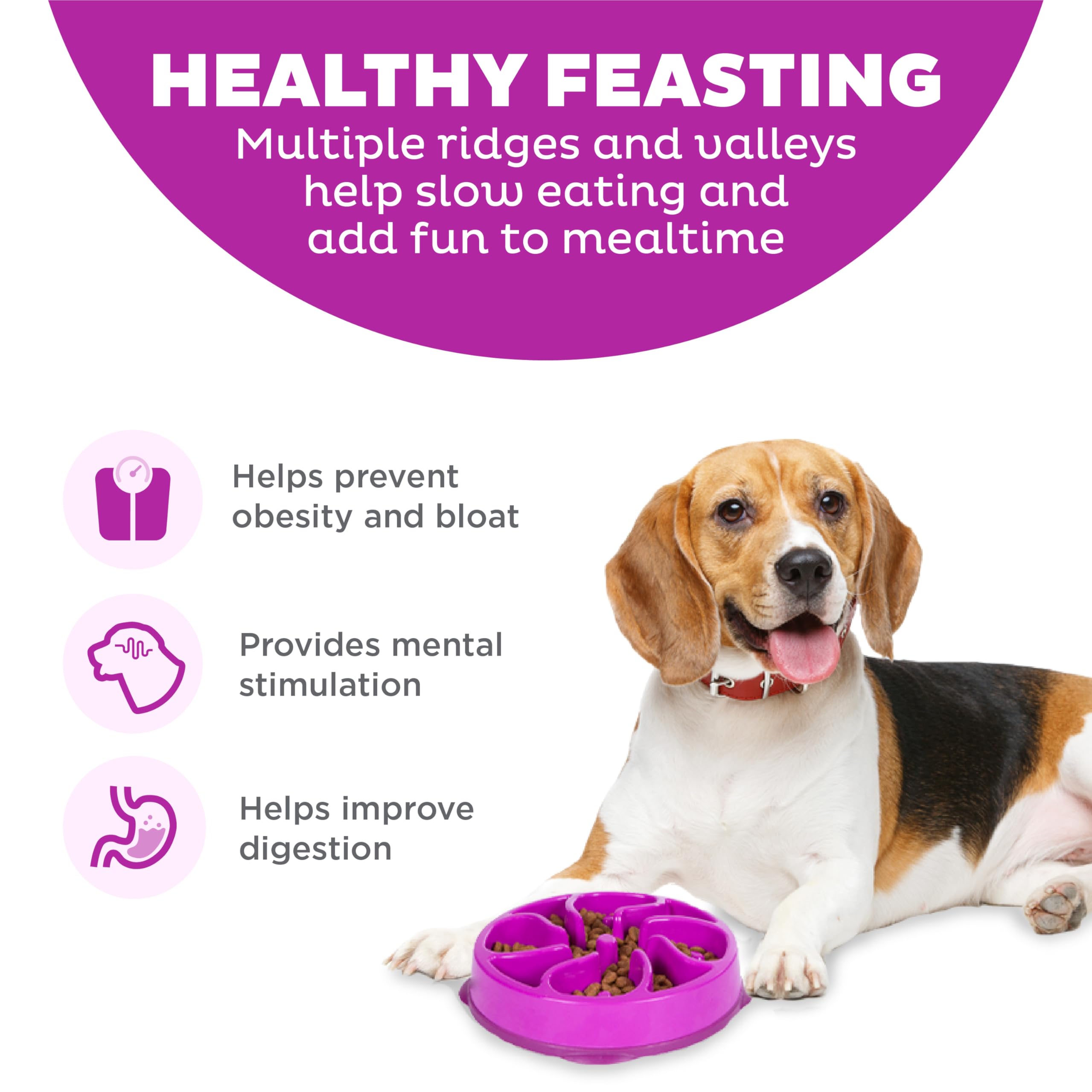 Outward Hound Fun Feeder Slo Bowl - Slows Eating 10X | Medium Size | Purple