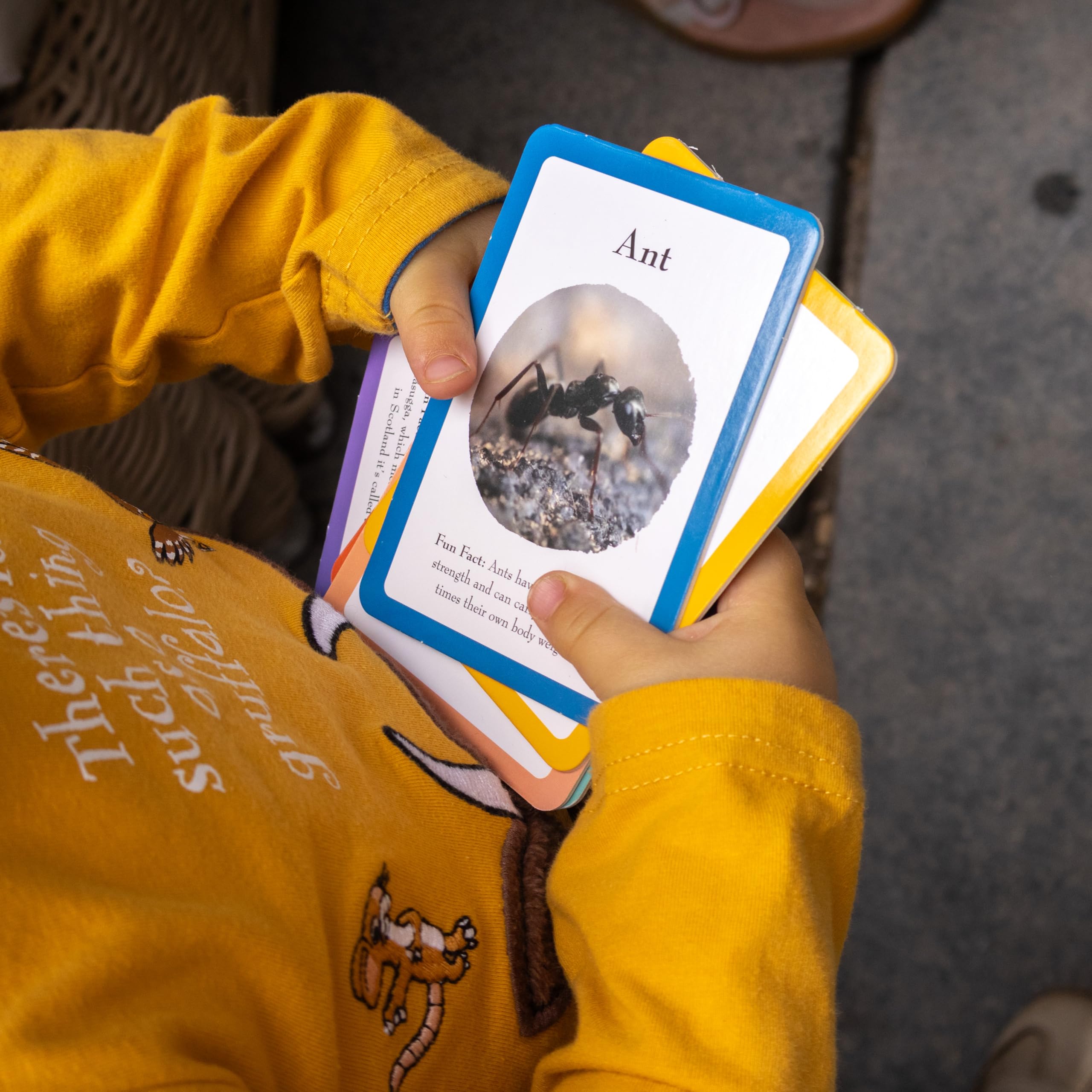 The Gruffalo Bug Spotter Activity Set - Nature Exploration for Kids 16