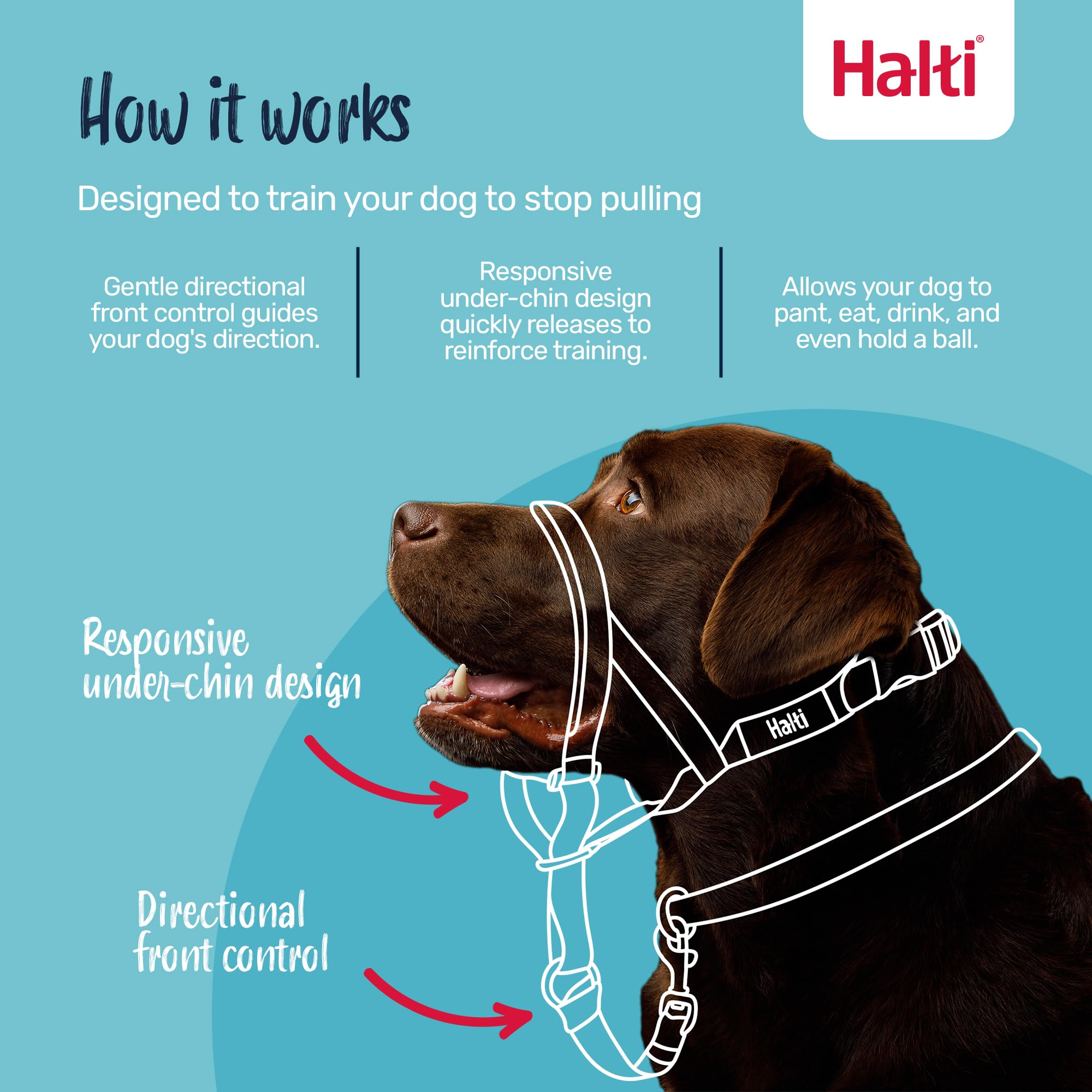 Halti Headcollar for Dogs - Stops Pulling | Size 3, Pink