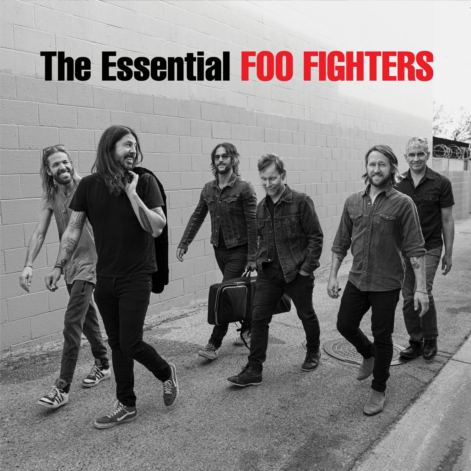 Foo Fighters - The Essential Foo Fighters [VINYL]