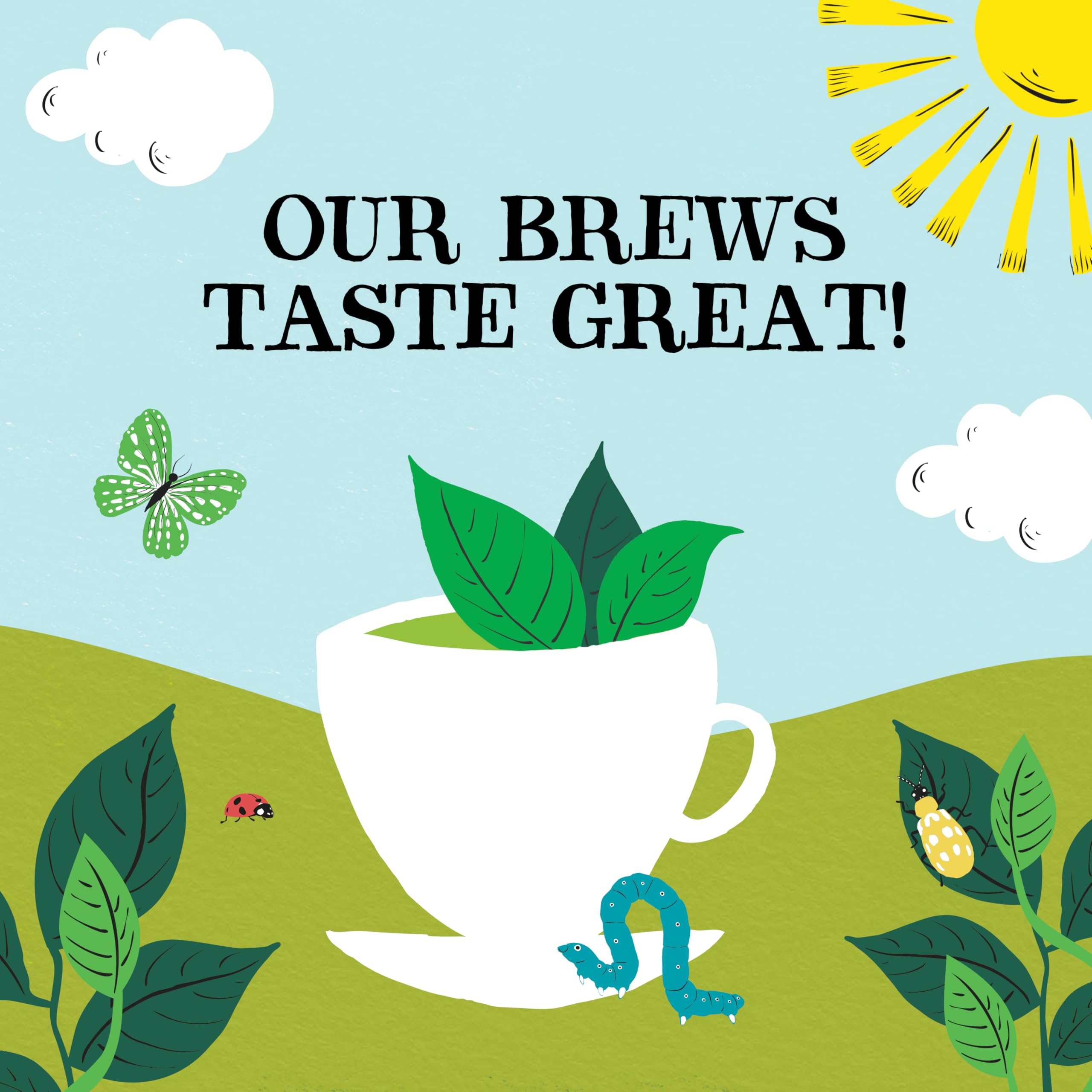 Clipper Bio Grünteebeutel pur – 320 Beutel (4 x 80) Großpackung, Fairtrade &amp; Plastikfrei 10