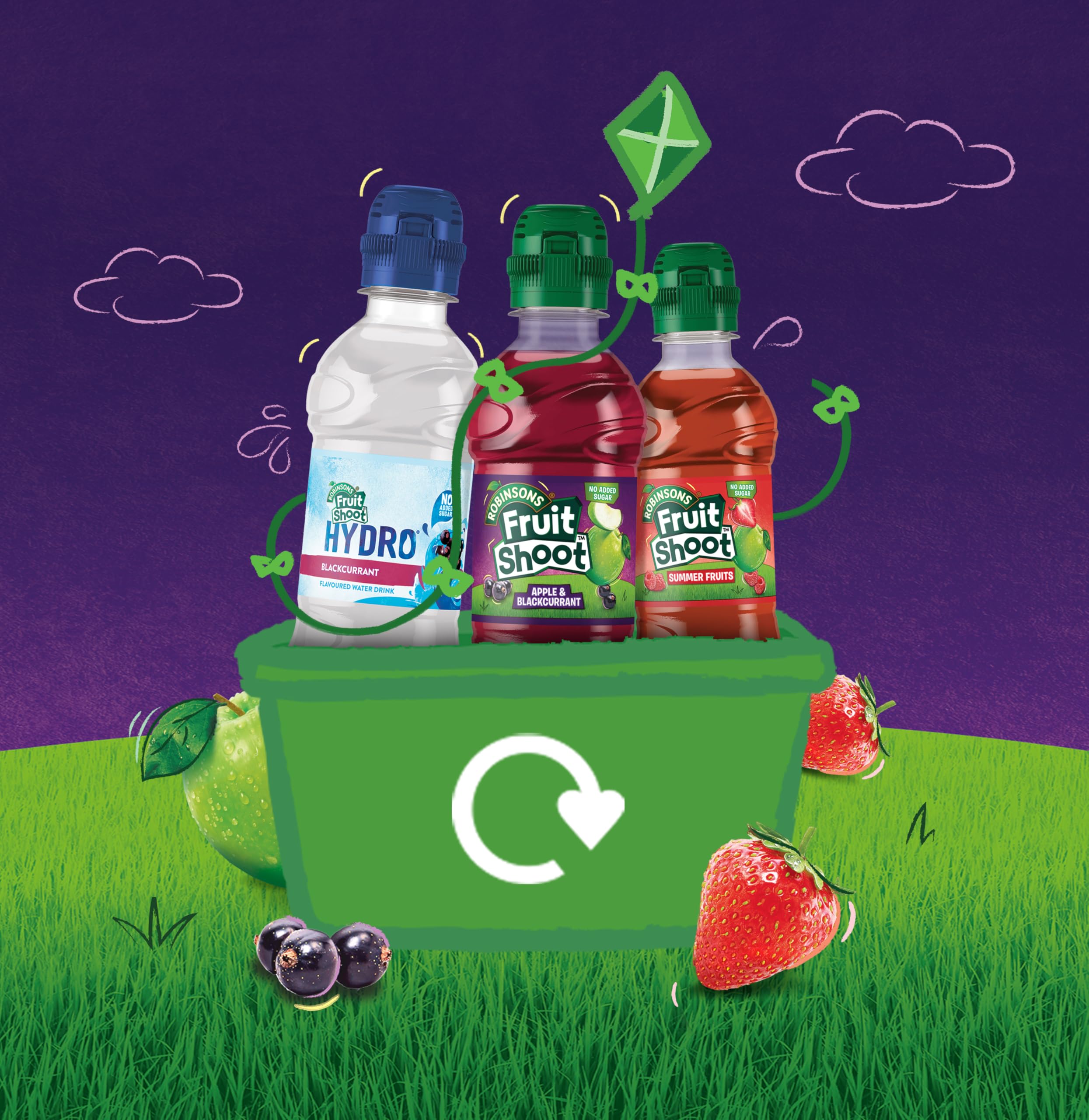 FRUIT SHOOT Apple and Blackcurrant Fruit Juice - No Added Sugar | Vitamins | 8 x 200ml Bottles 9