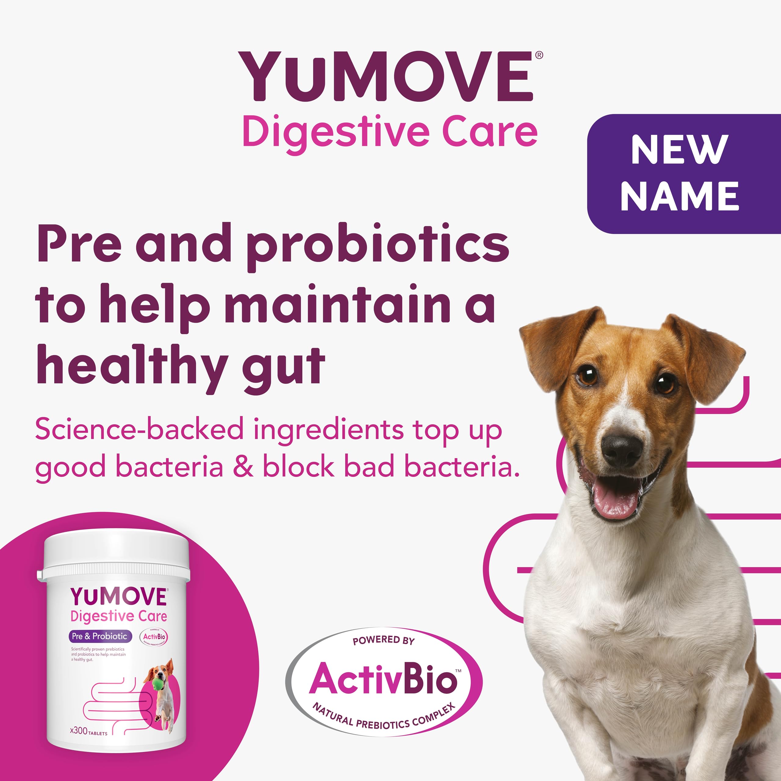 YuMOVE Digestive Care Dog Pre and Probiotics Supplement for Gut Health | 300 Tablets