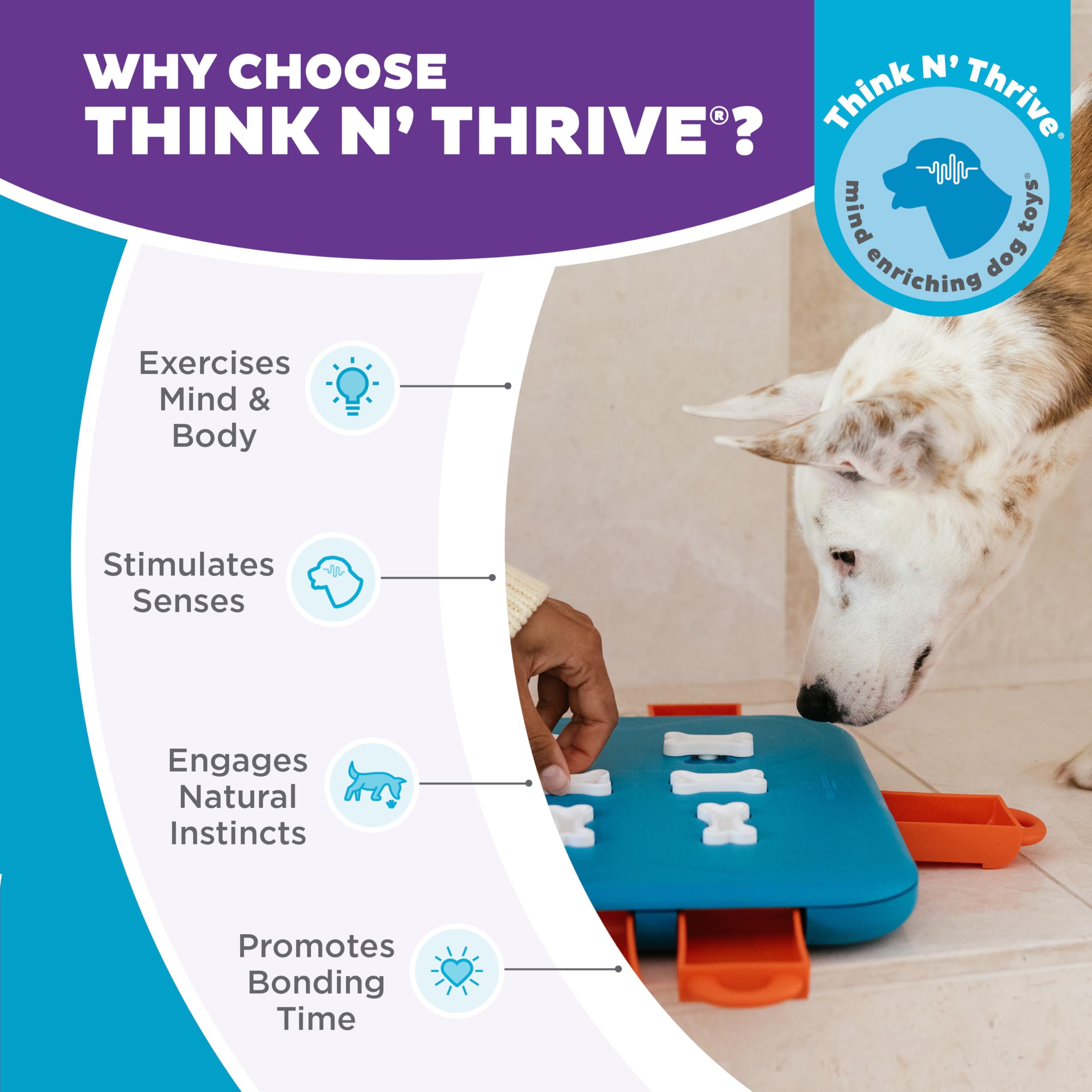 Outward Hound Nina Ottosson Dog Casino Interactive Treat Puzzle Toy - Level 3 Advanced | Medium Size | Plastic 6
