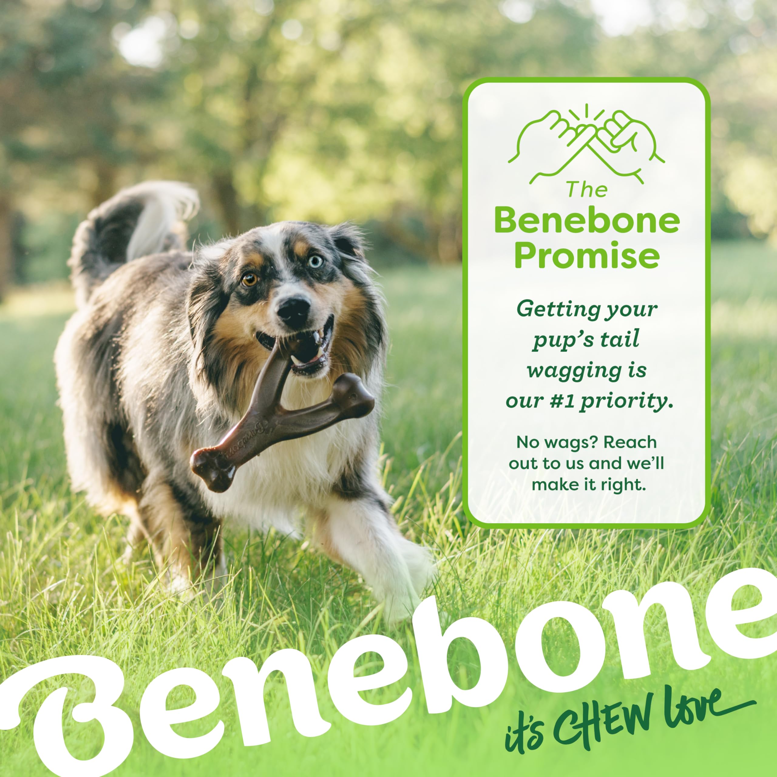 Benebone Indestructible Wishbone Dog Chew Toy - Real Bacon Flavor | Small Dogs up to 30 lb | Heavy Duty 6