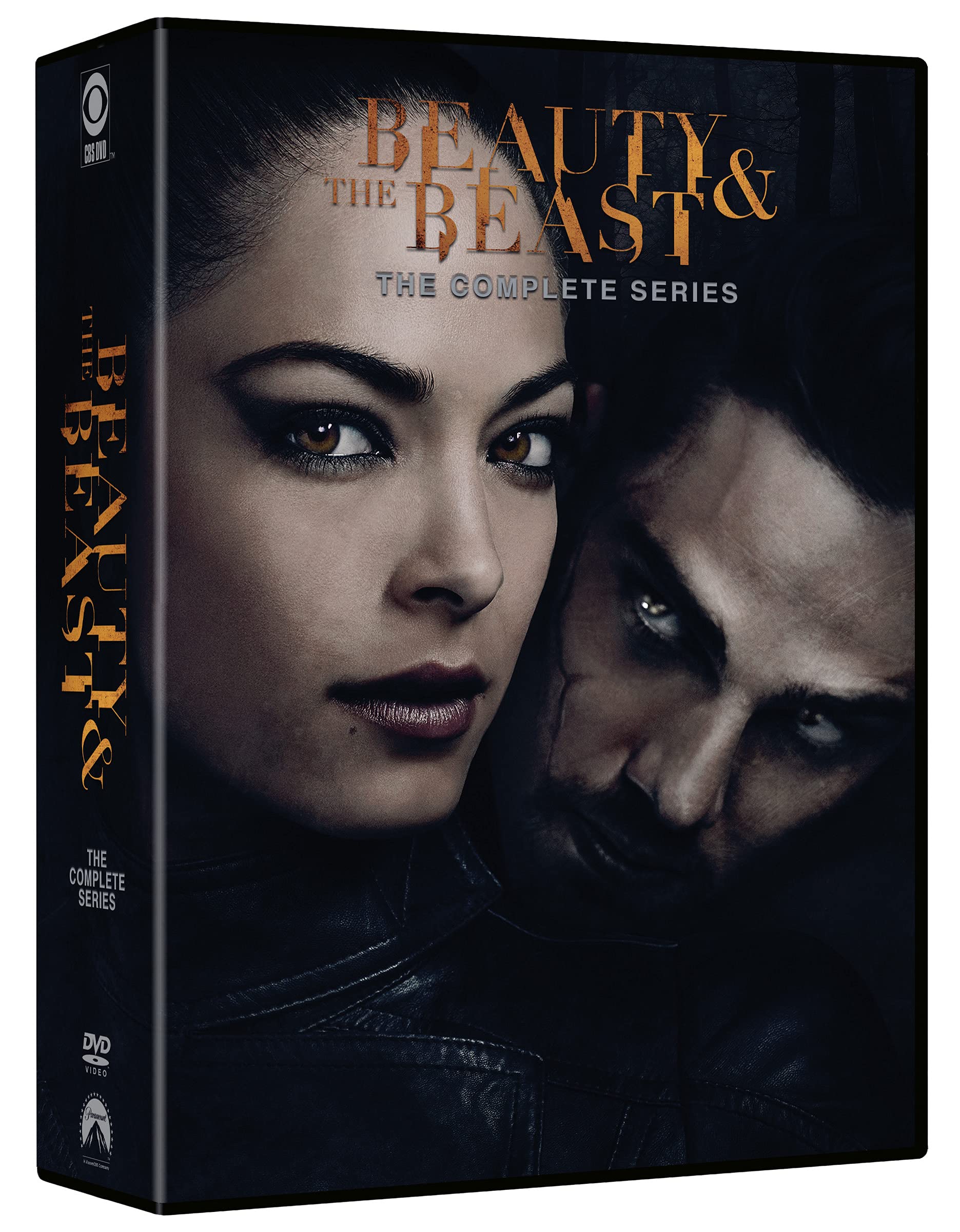 Beauty and the Beast: Seasons 1-4 [DVD]