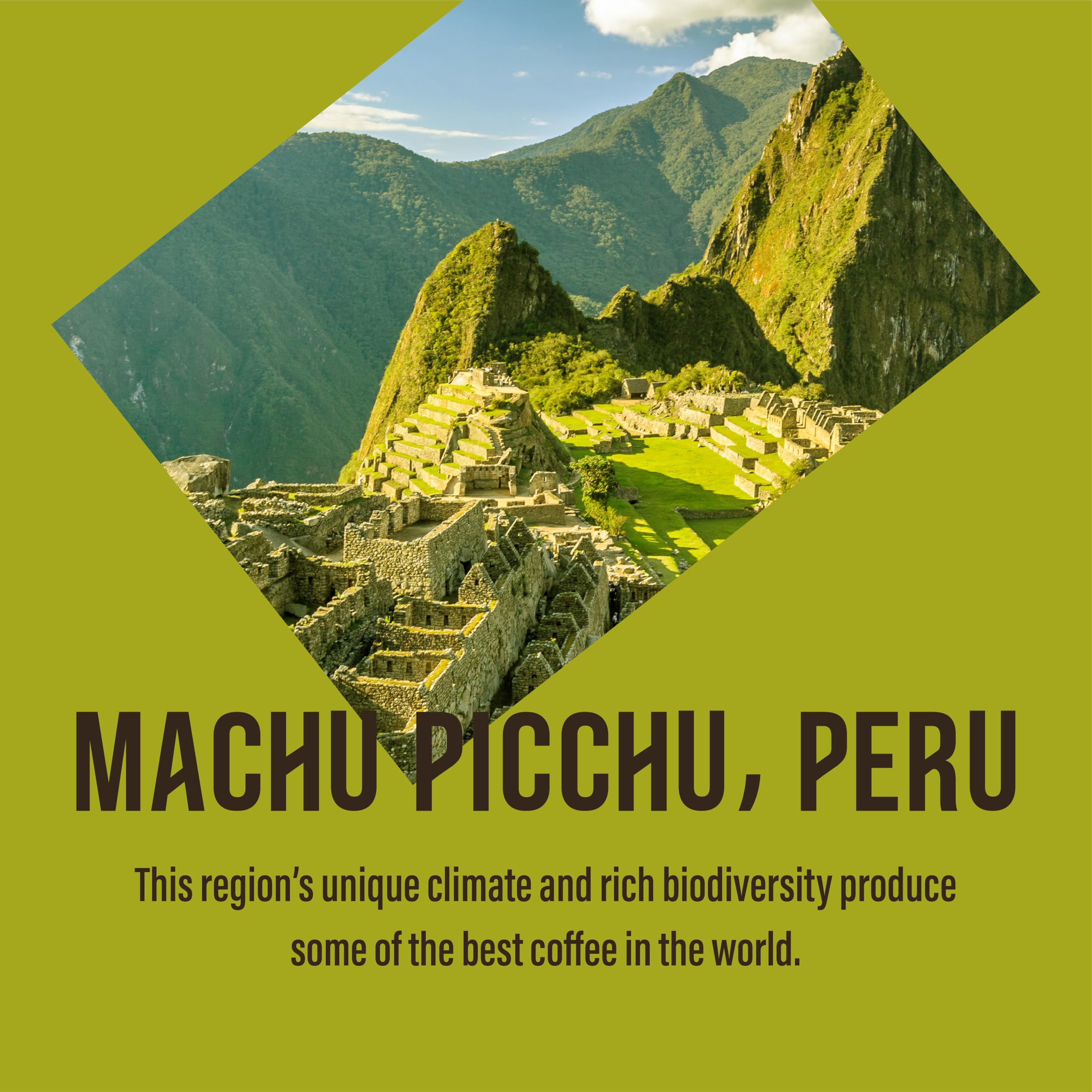 Cafédirect Machu Picchu Bio-Kaffeebohnen – Single Origin Fairtrade Arabica, 750 g 3