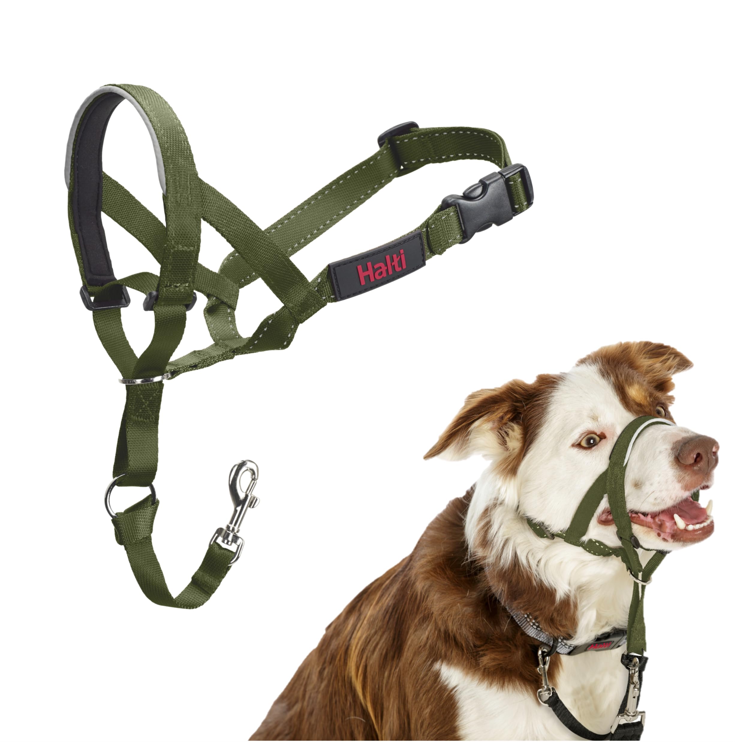 Halti Headcollar - Stops Pulling for Medium Dogs | Size 2, Forest Green, Reflective