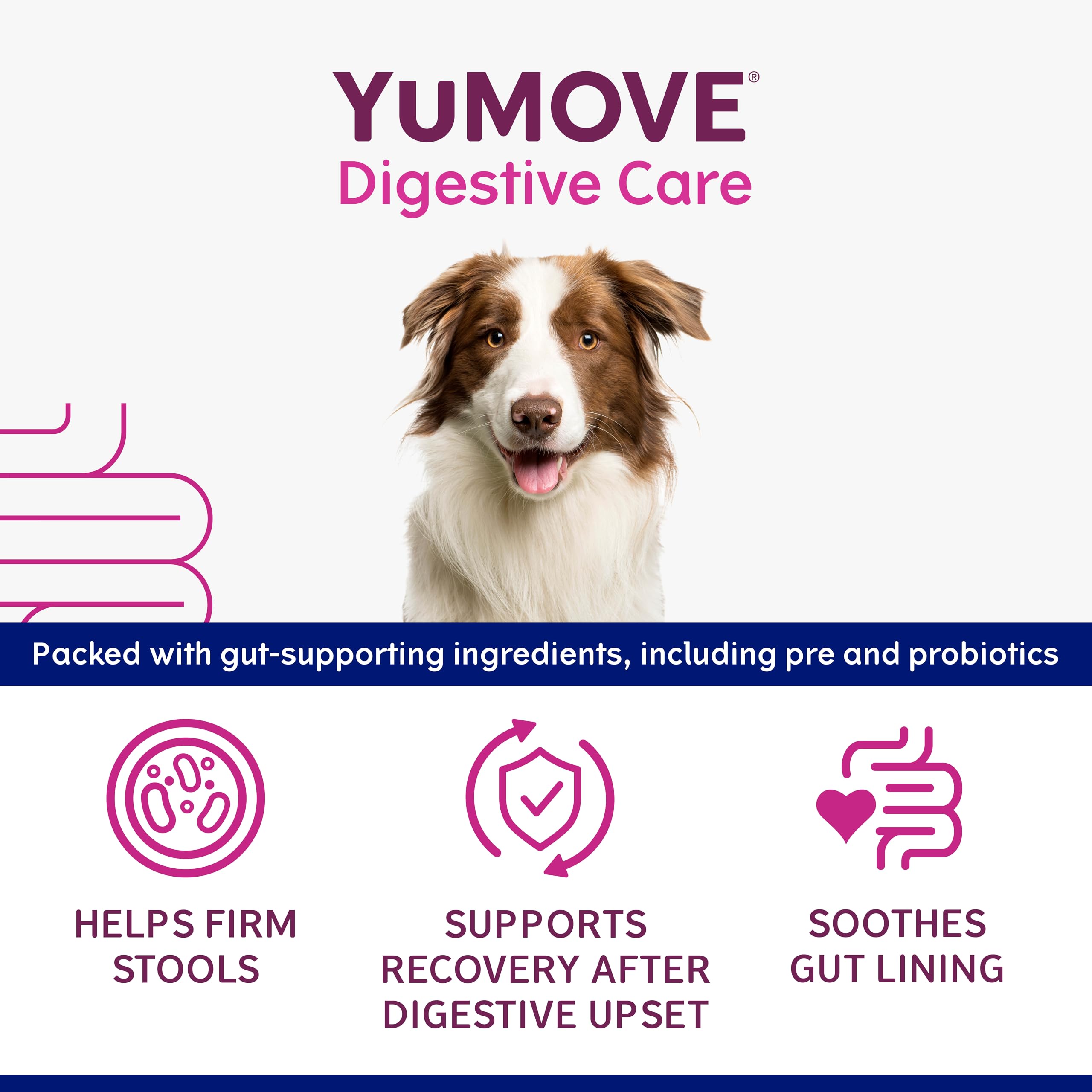 YuMOVE Digestive Care Rapid Dog Pre and Probiotic Paste for Gut Health | 2 Pack | 60ml Total 3