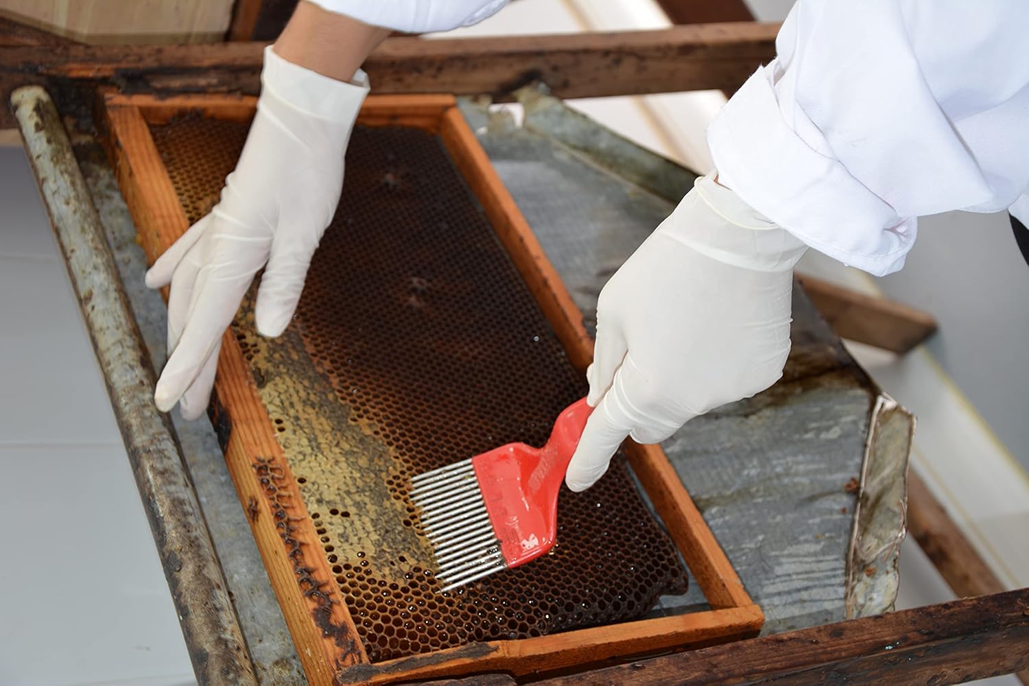 The Greek Kitchen - Orange Blossom Honey Unheated & Unpasteurised 250g 5