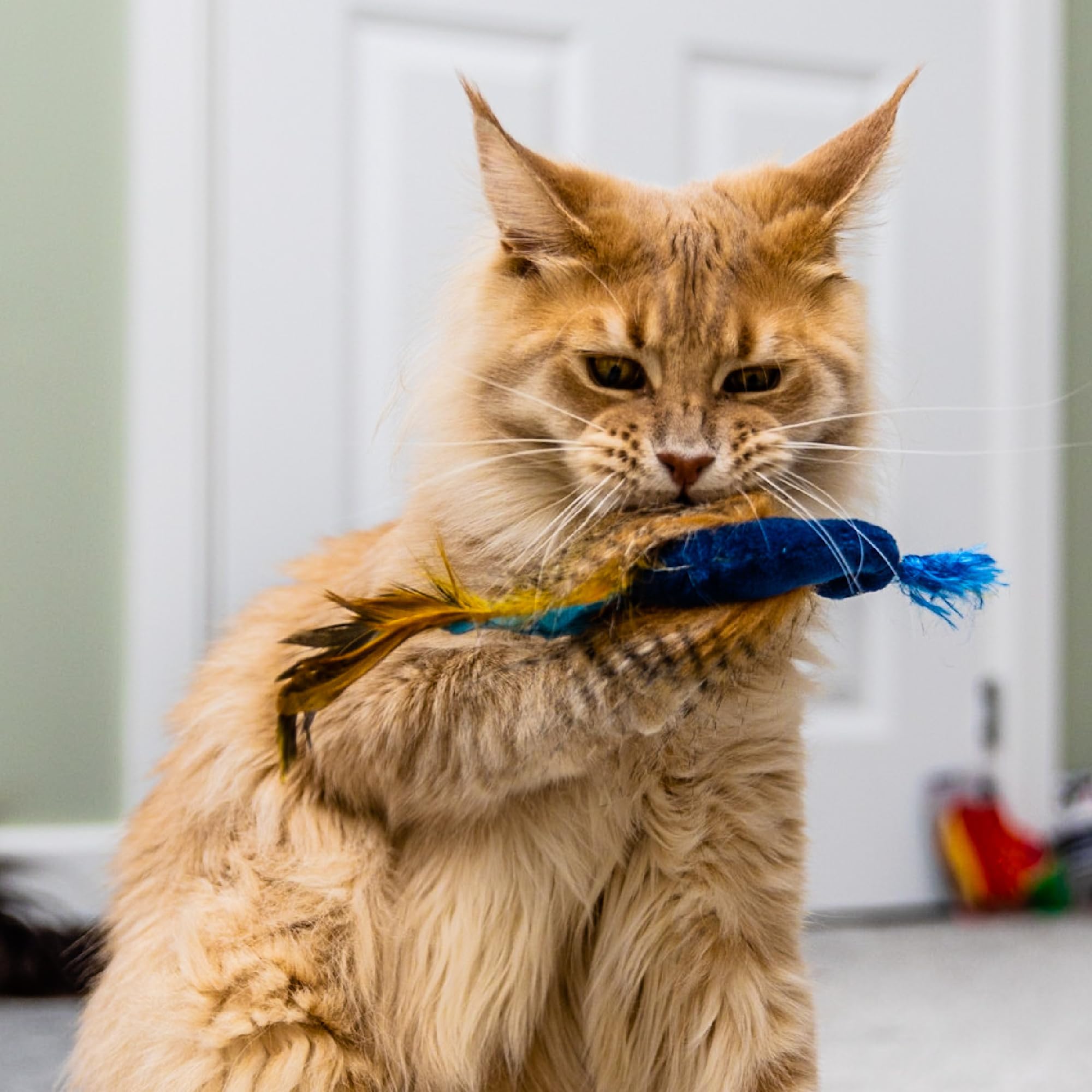 Ancol Peacock Cat Toy - Real Catnip Infused for Happiness and Relaxation | 29cm Length 3