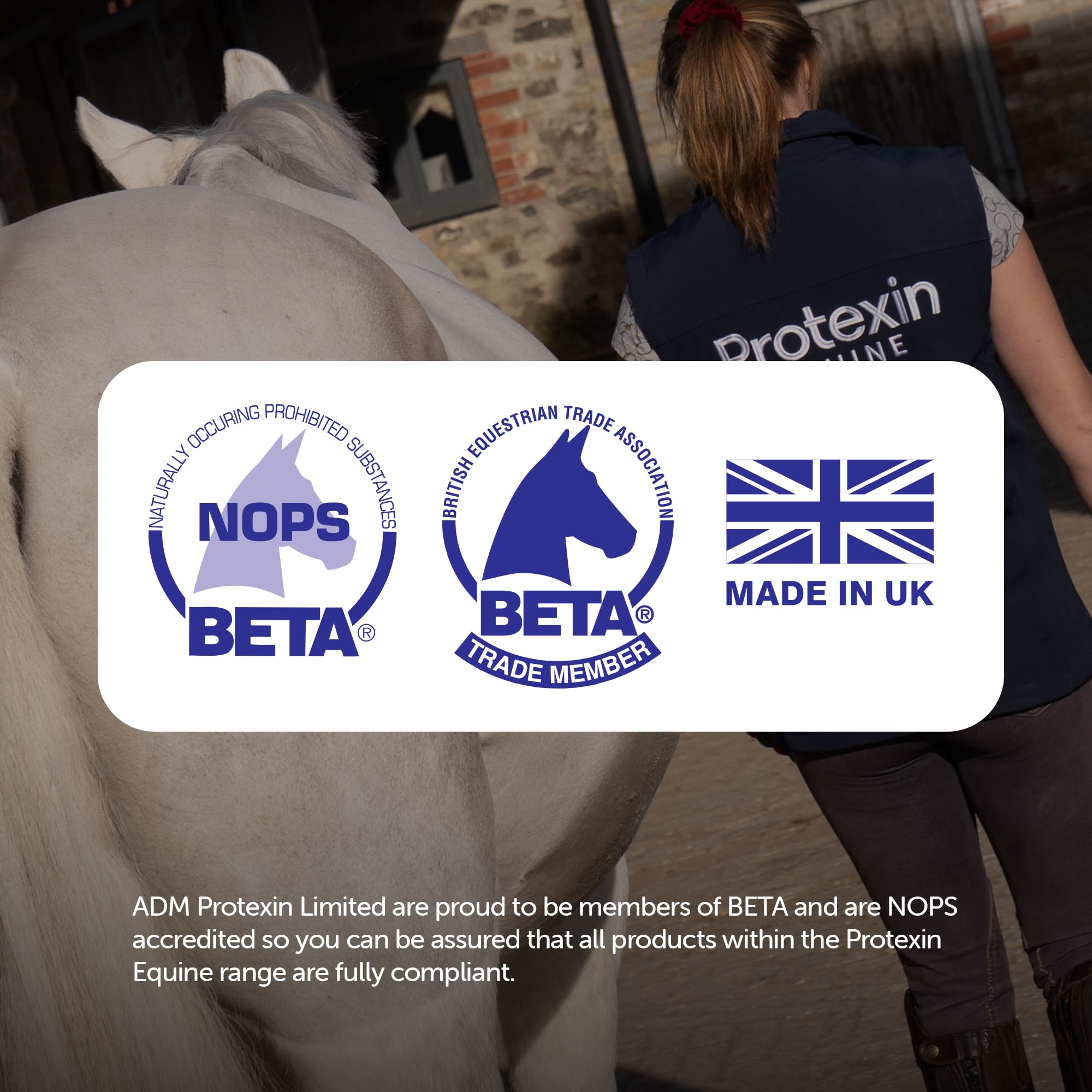 Protexin Equine Premium Gut Balancer - Daily Digestive Support | 400g | BETA NOPS Accredited 6