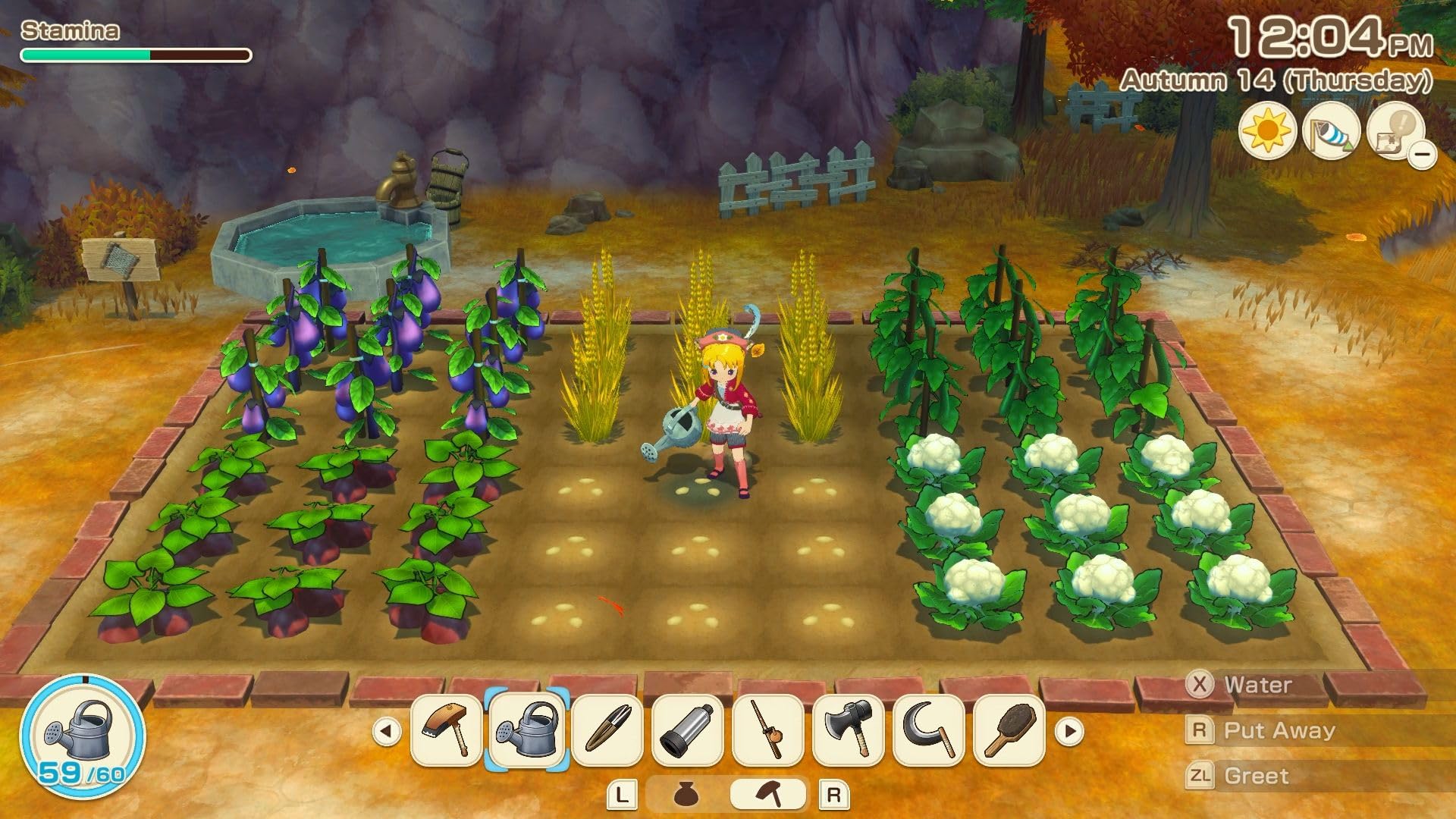 Story of Seasons: Grand Bazaar - Nintendo Switch 6