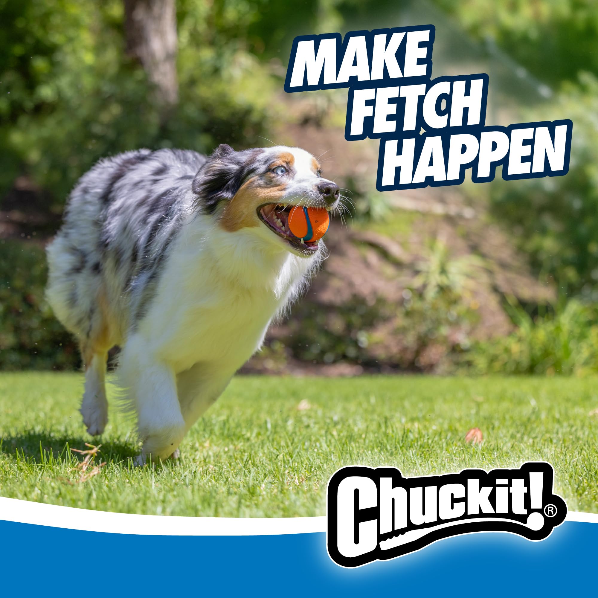 Chuckit! Ultra Ball - High Bounce Rubber Dog Toy for Fetch | Launcher Compatible | Medium Size | Blue/Orange 6