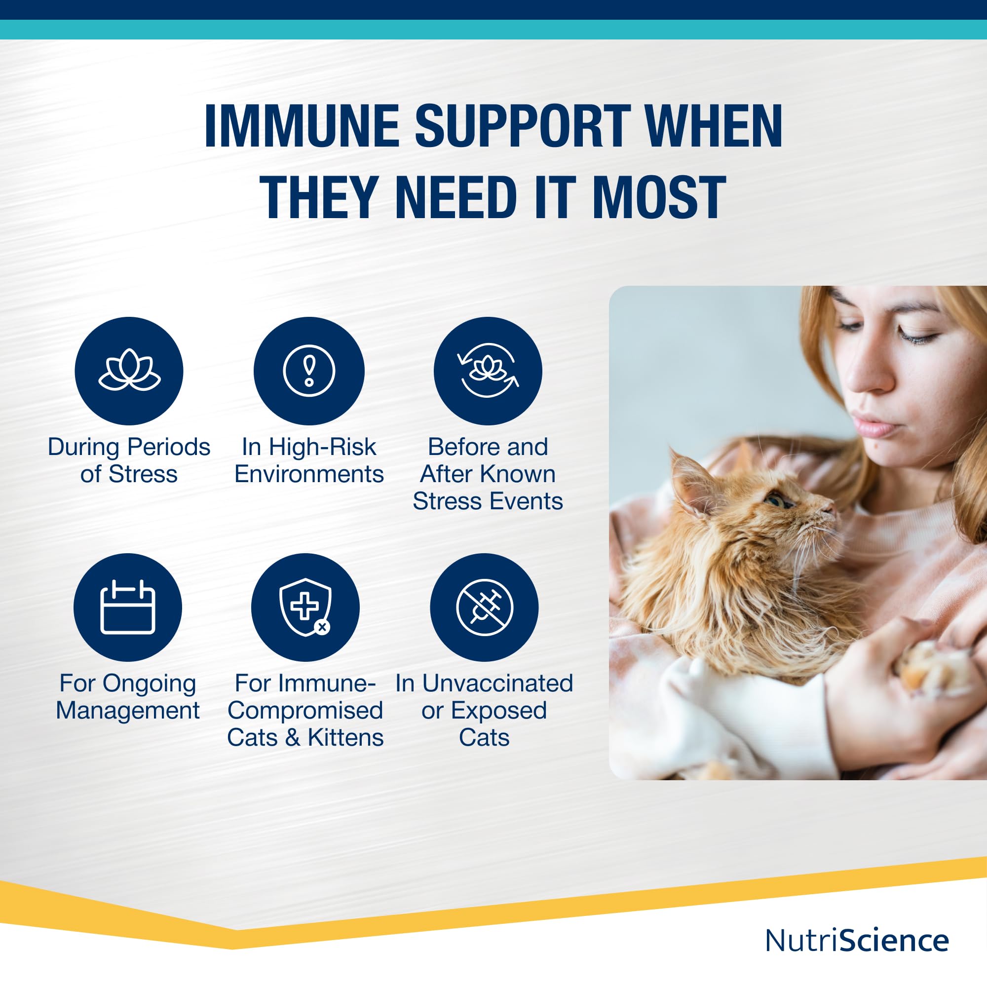 NutriScience Lysine Aid Cat Gel - Immune Support for FHV-1 Symptoms | 50ml 3