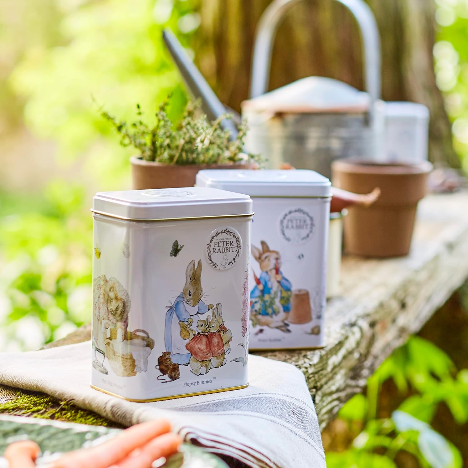New English Teas - Peter Rabbit Tea Caddy with 40 English Afternoon Teabags 9