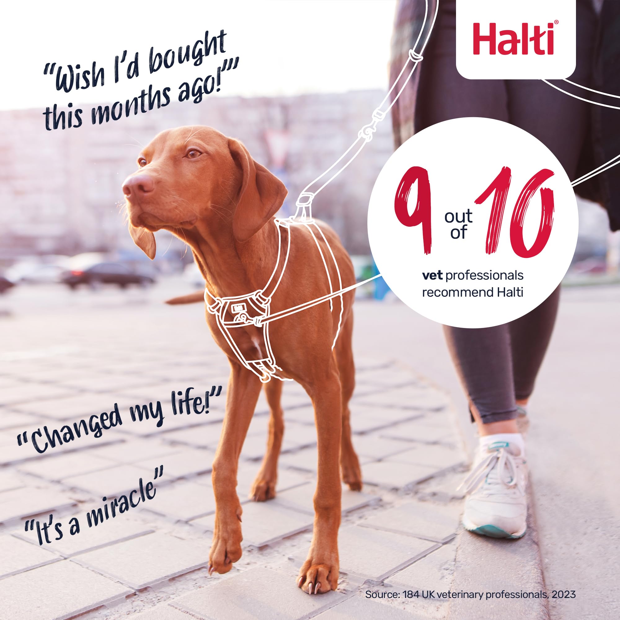 Halti No Pull Harness & Training Leash Set - Stops Pulling, Front Control Steering | Size Large, Black 9