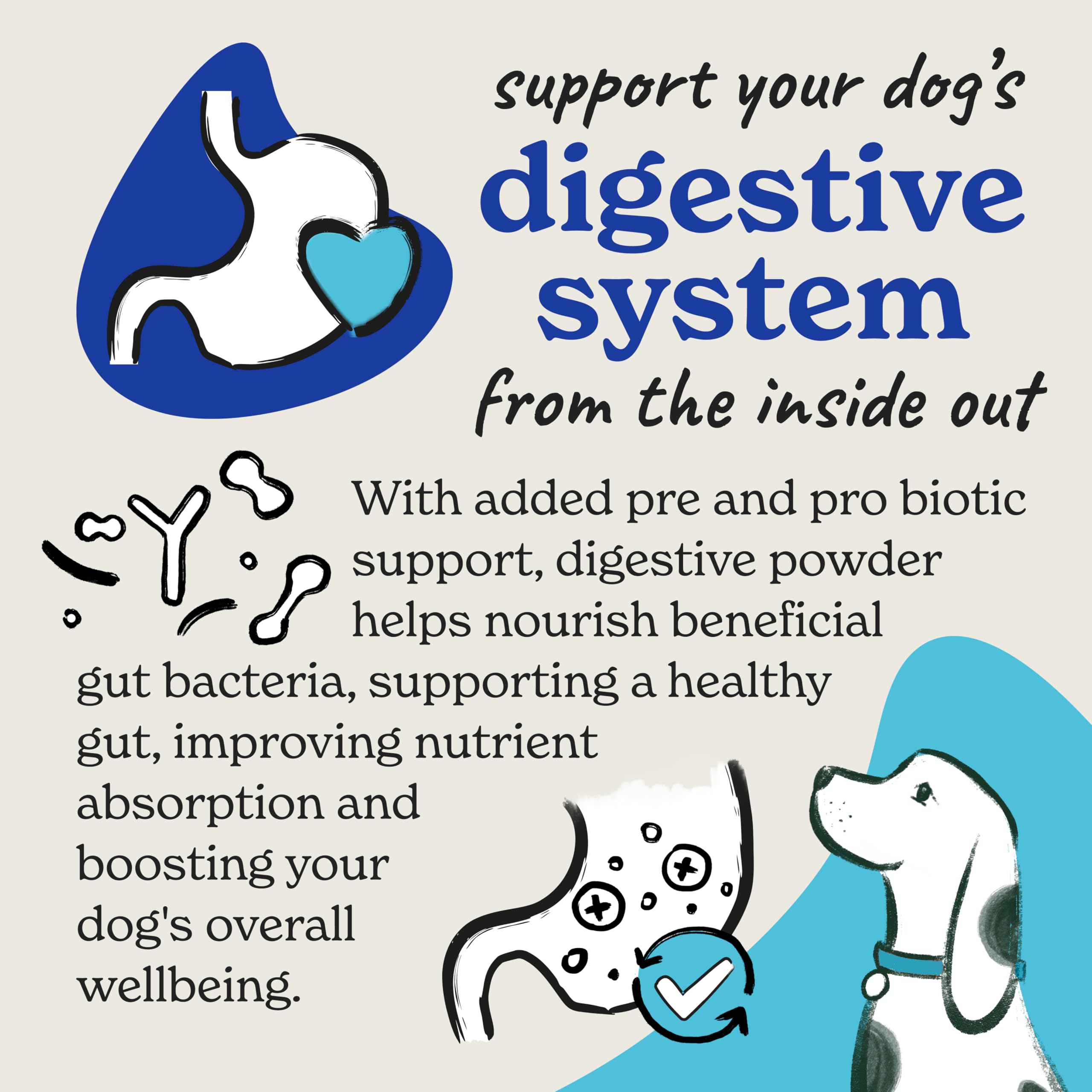Forthglade Digestive Powder for Dogs - Pre & Probiotic Gut Support | 200g 2