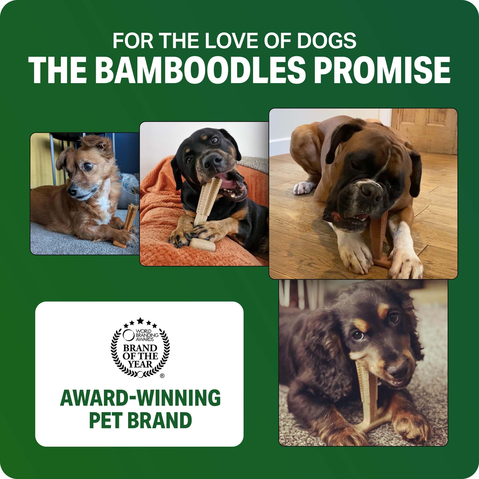 Bamboodles T-Bone Dog Chew Toy - Medium Size | Chicken Flavour | Durable Chew 7