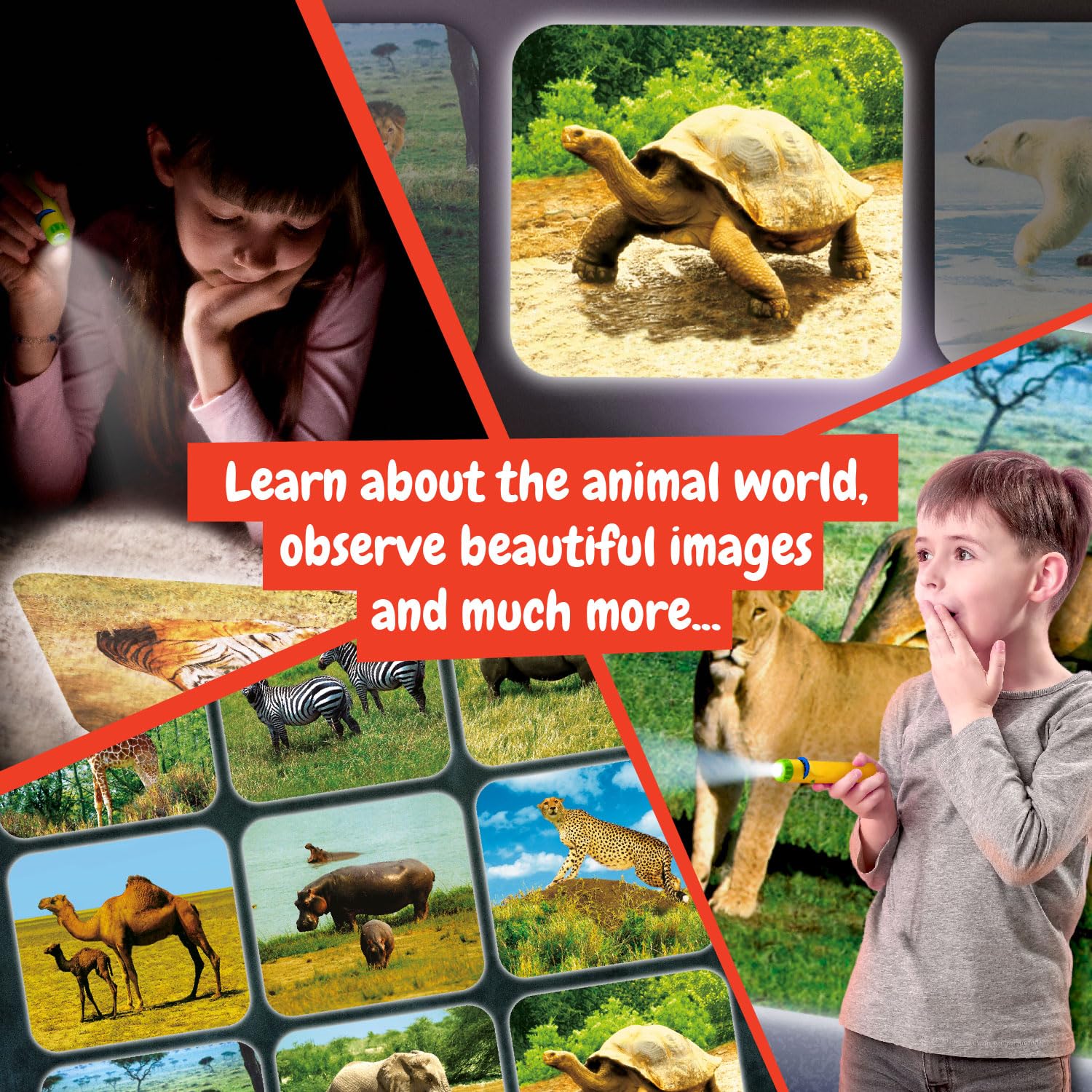 Science4you Animal Torch Projector for Children 4+ Years - Educational Animal Slide Light Projector Toy 5