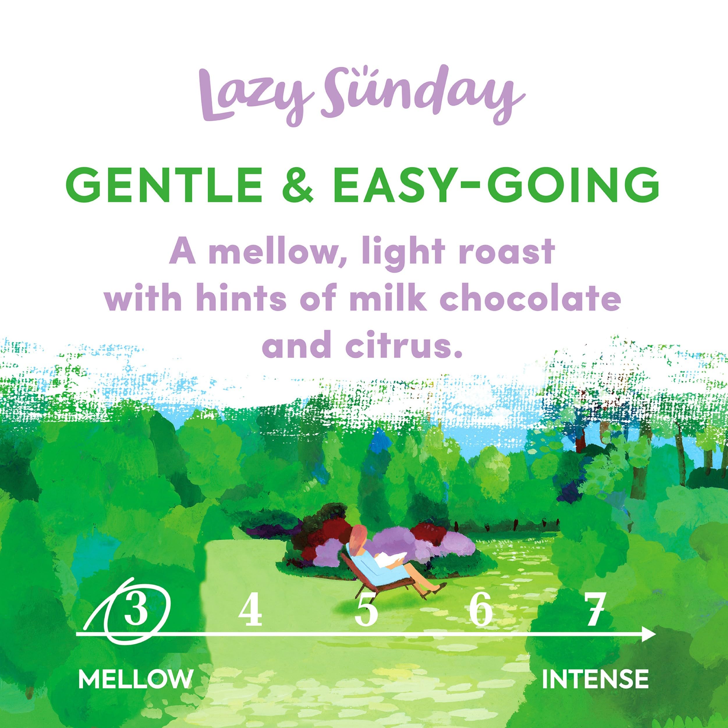 Taylors of Harrogate Lazy Sunday gemahlener Kaffee, 200 g (6er-Pack) – 1,2 kg insgesamt 8