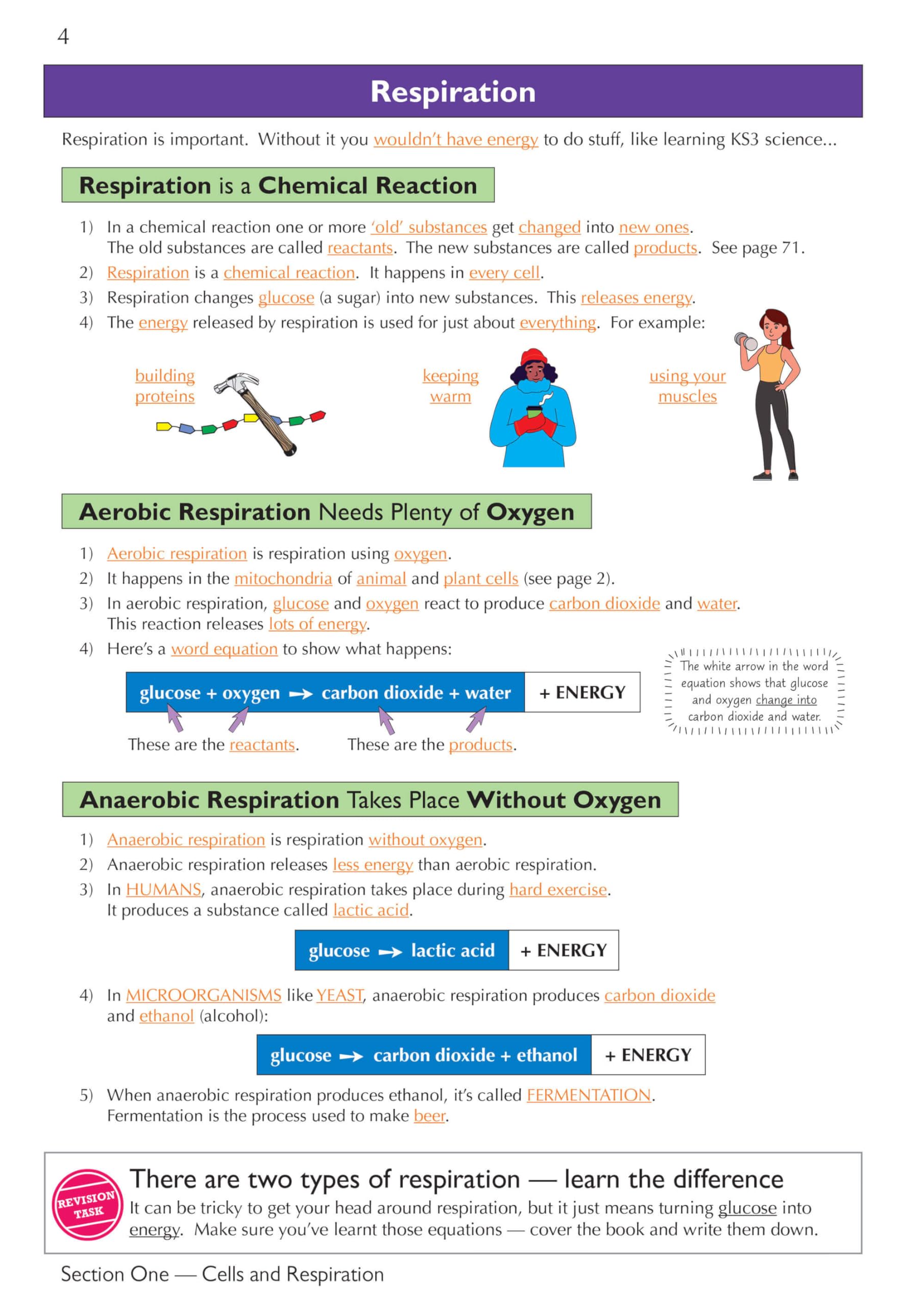 CGP KS3 Science Complete Revision & Practice - Foundation Edition (Paperback) | Ages 11-14 | 208 Pages 5