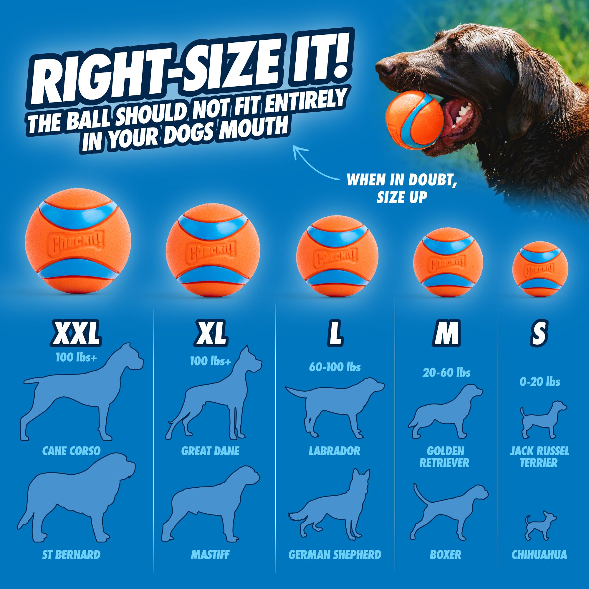 Chuckit! Ultra Balls - Medium Size Fetch Toy | 4-Pack | Orange Natural Rubber 3