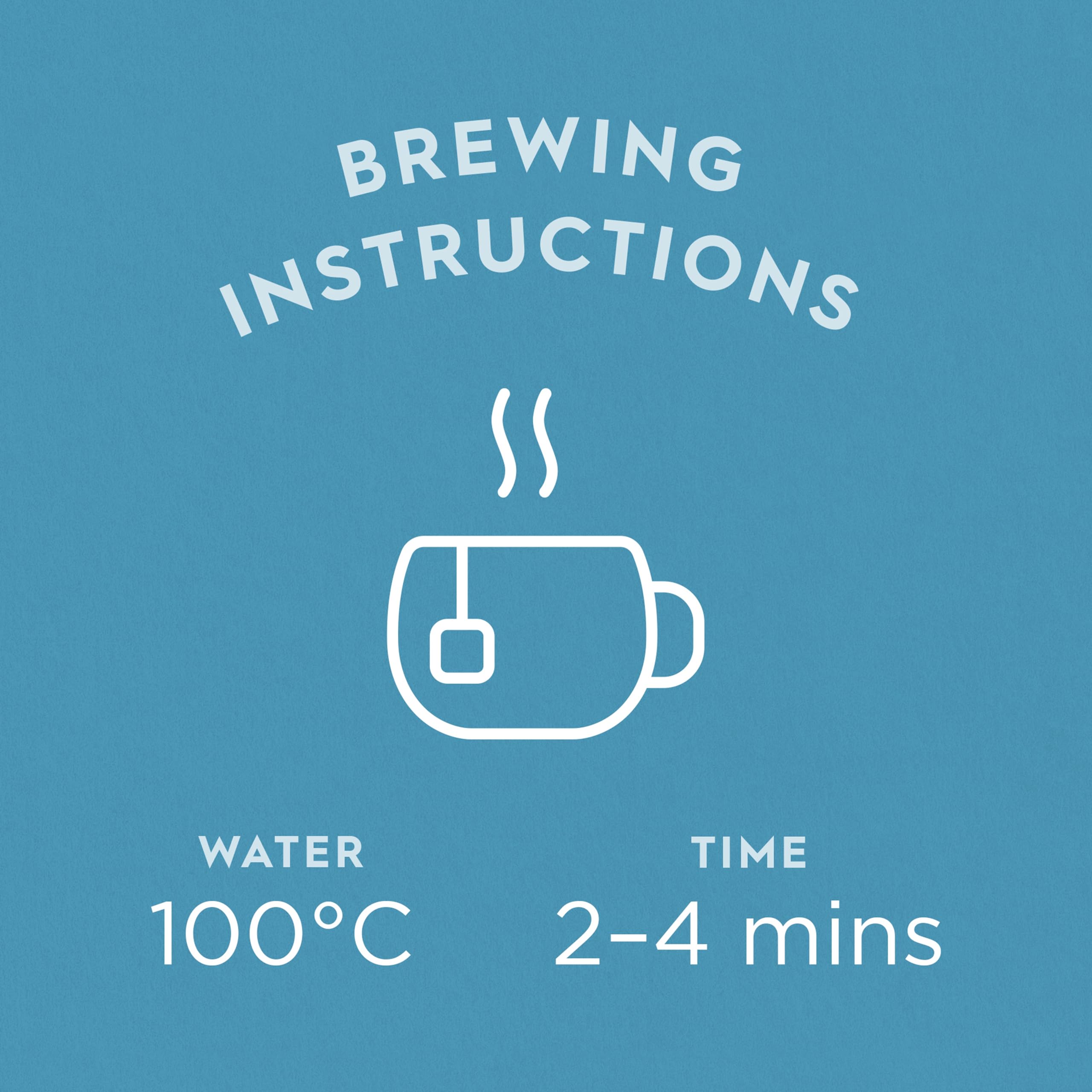 Dragonfly - Cape Malay Chai Organic Spiced Rooibos Tea, 20 Teabags (Pack of 4, 80 Total) 3