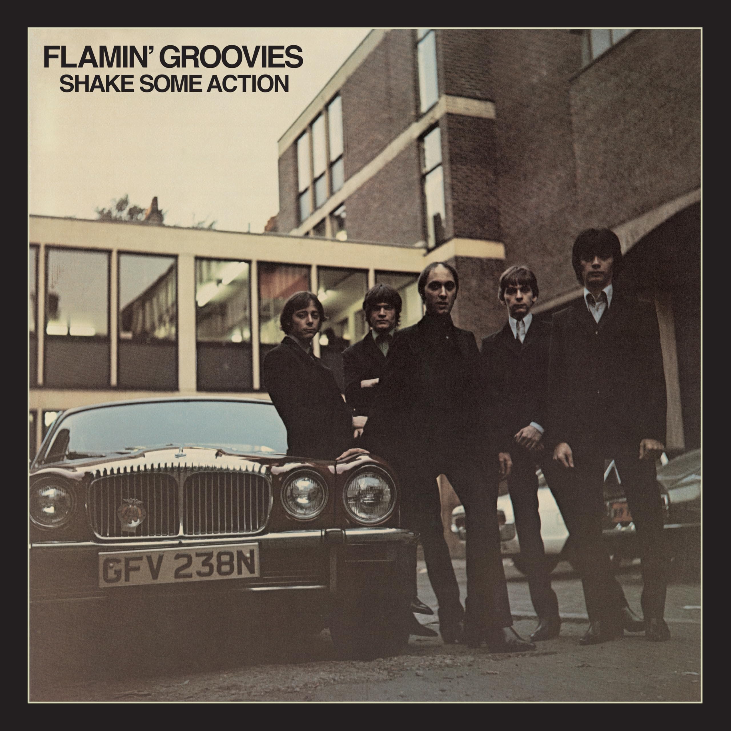 Flamin' Groovies - Shake Some Action [CD]