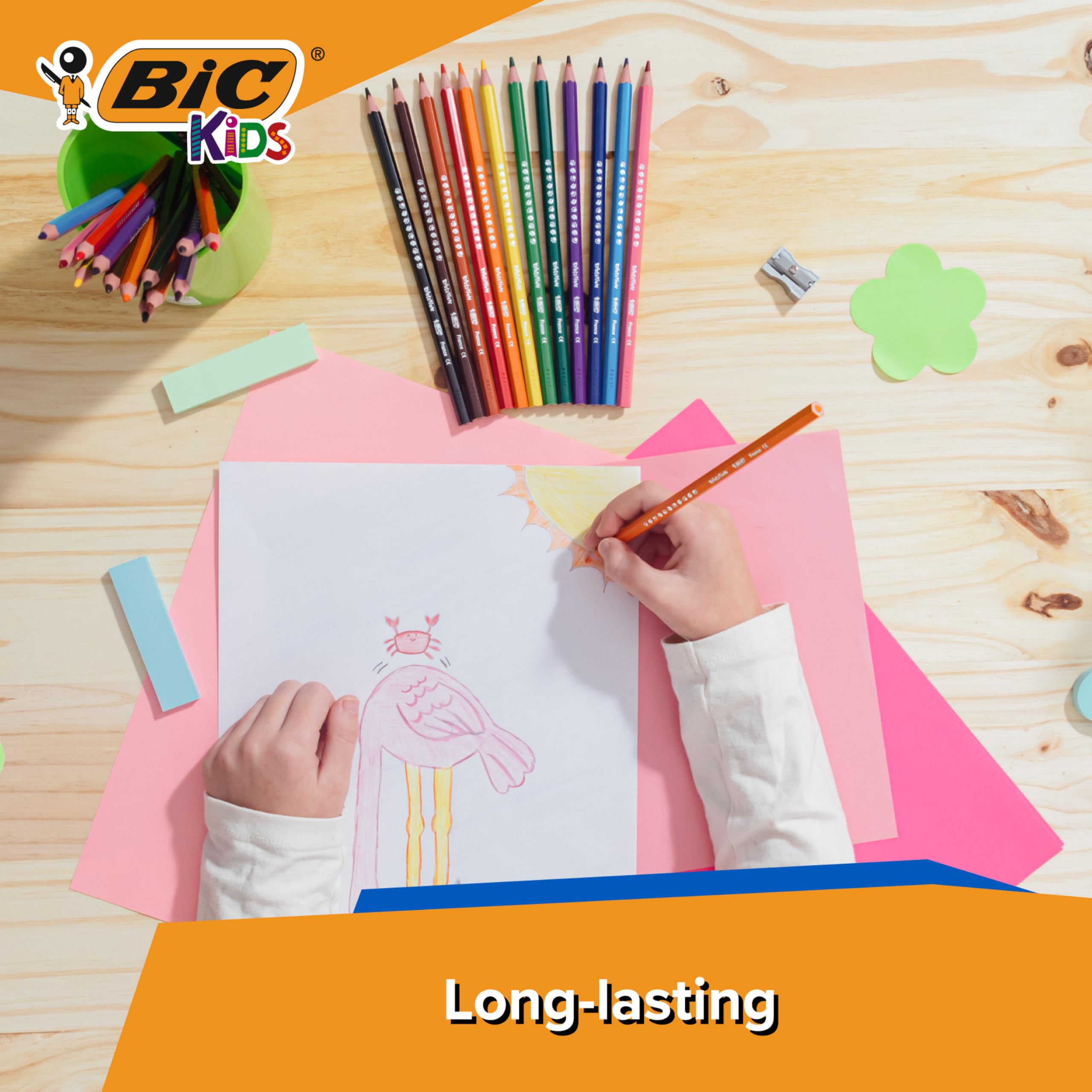 BIC Kids Evolution Ecolutions Coloured Pencils - 288 Pack | Wood-Free | Hexagonal Grip