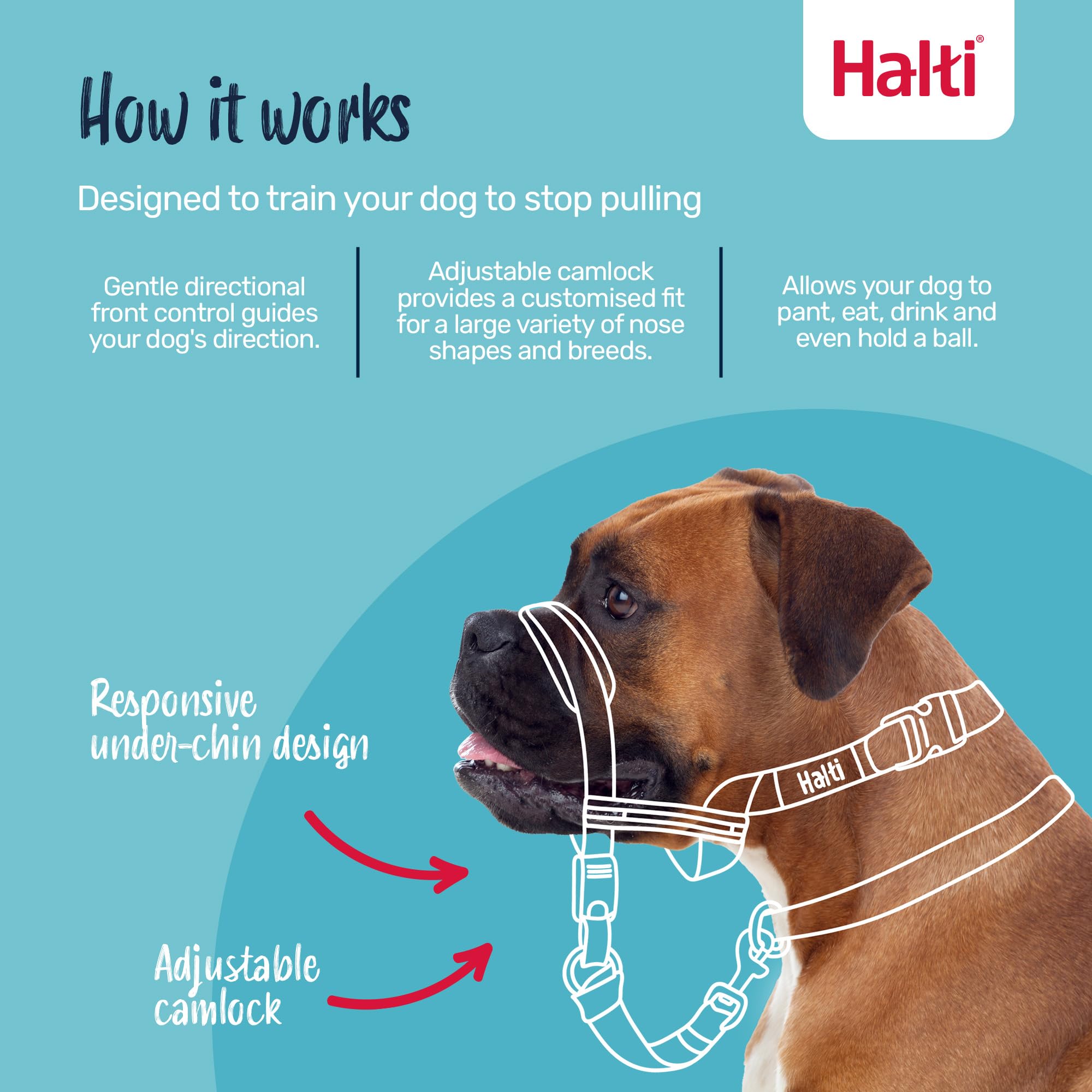 Halti Optifit Headcollar - Stops Pulling, Adjustable Fit for Dogs | Medium, Black 2