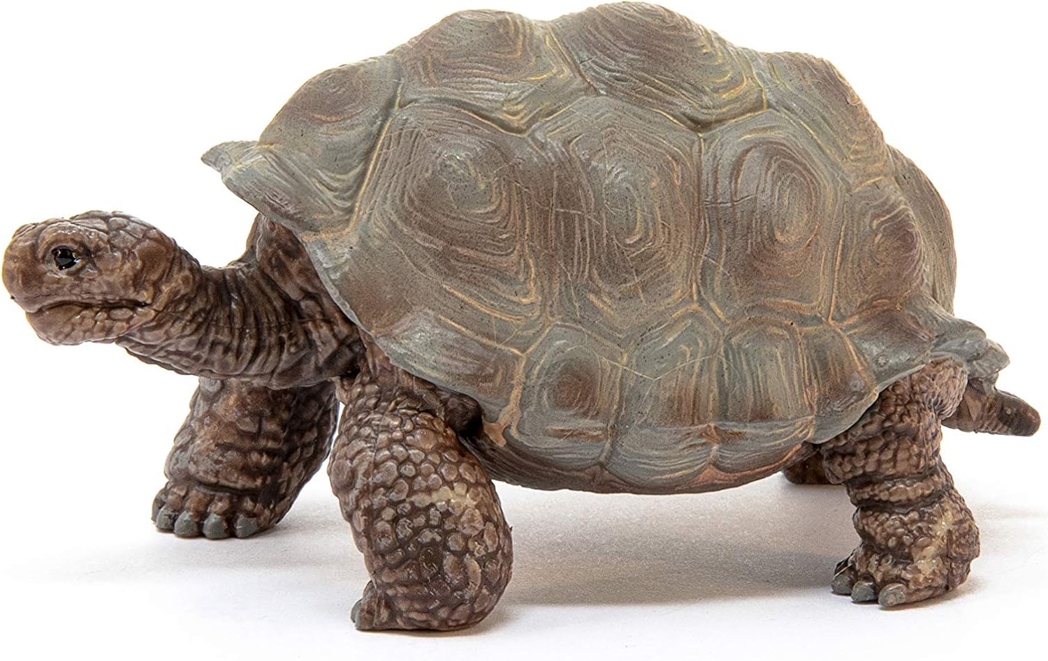Schleich 14824 Giant Tortoise Wildlife Animal Figure - Educational Play for Toddlers & Kids 3