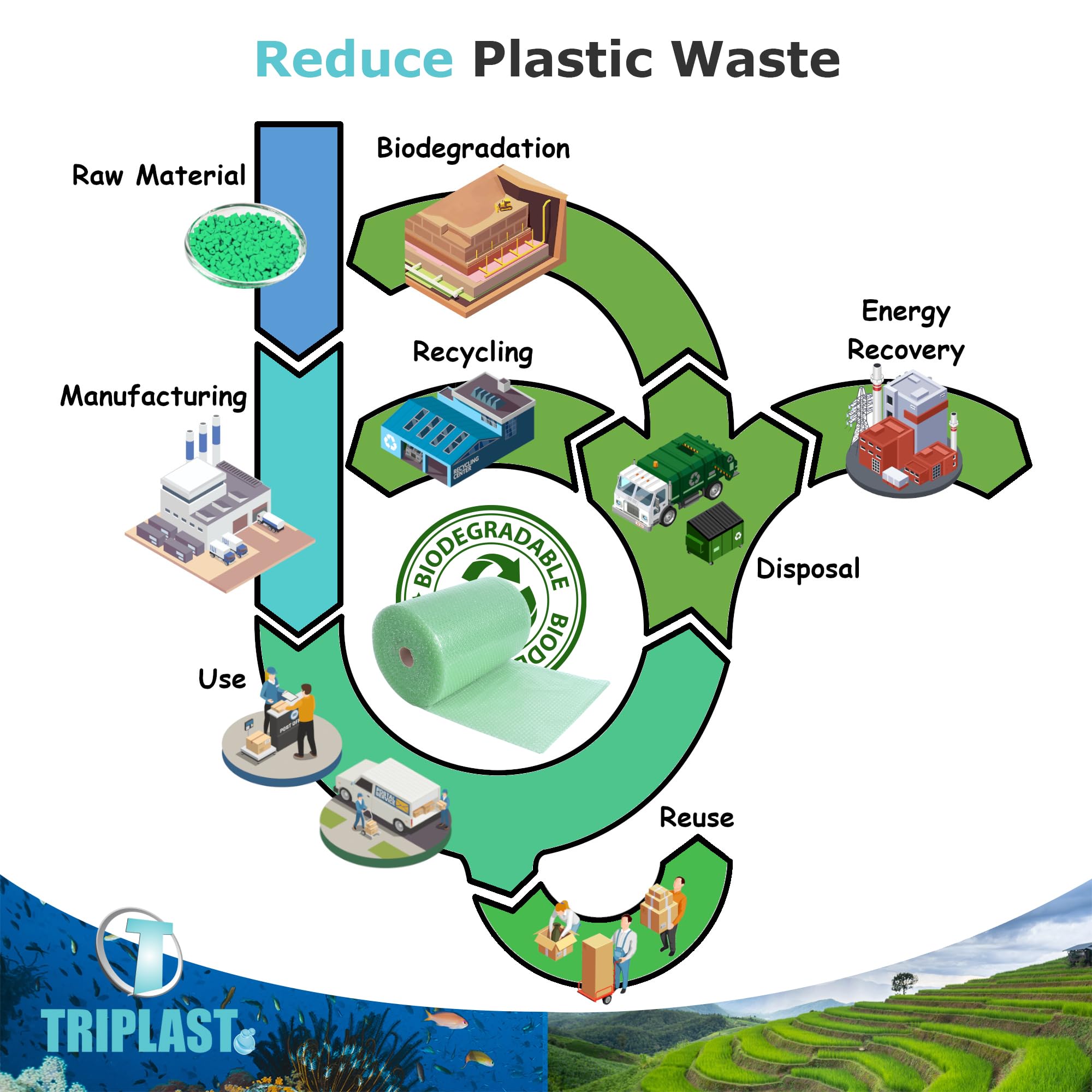 Triplast Biodegradable Green Bubble Wrap Roll - 400mm x 50m | Small 10mm Bubbles | Recyclable LDPE 2