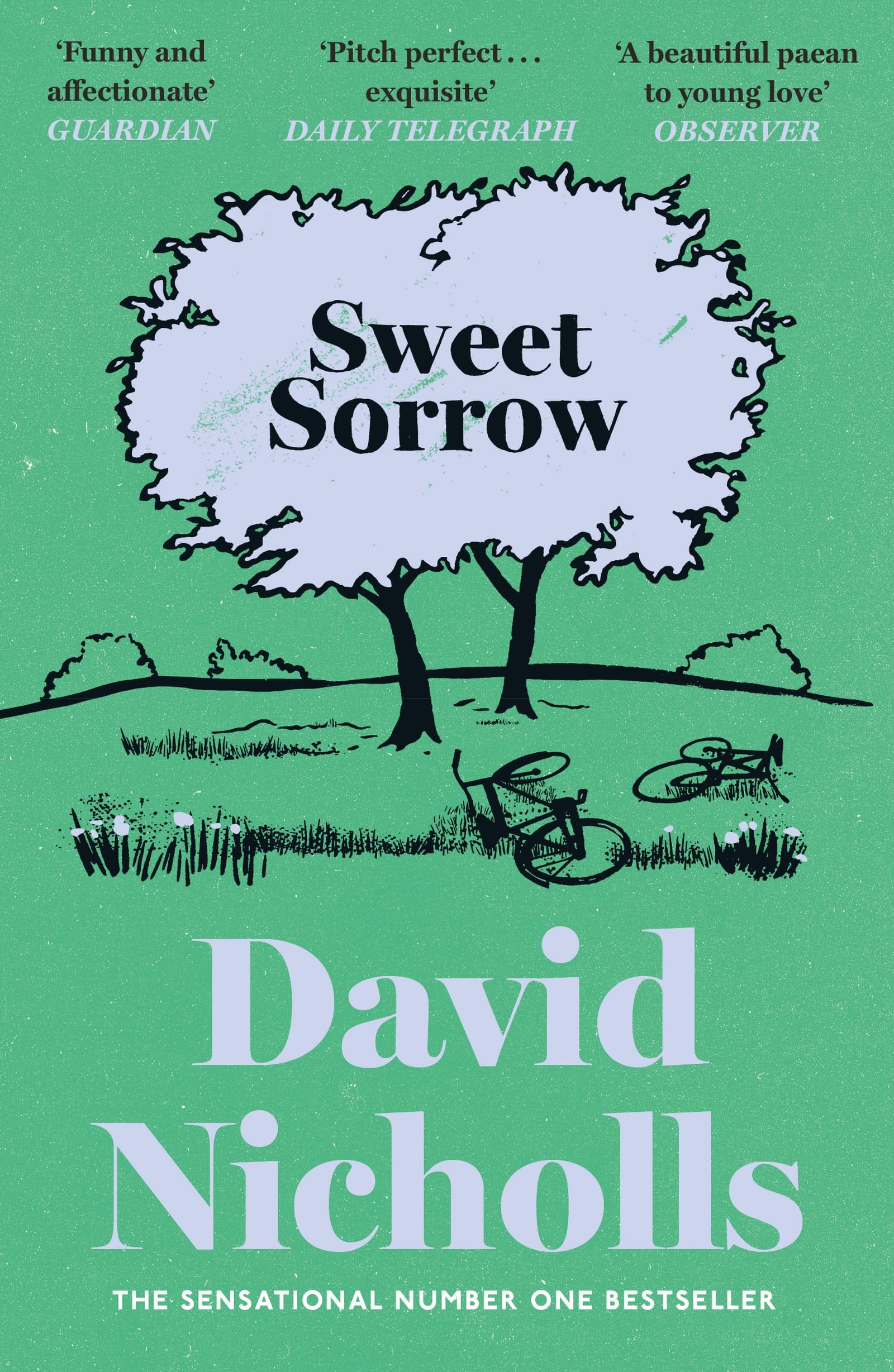 Sceptre Sweet Sorrow by David Nicholls | Sunday Times Bestselling Novel