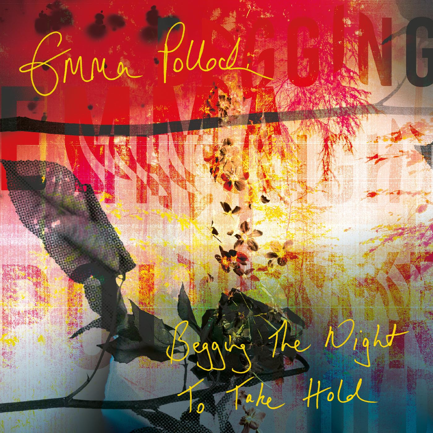 Emma Pollock - Begging the Night to Take Hold [Audio CD]