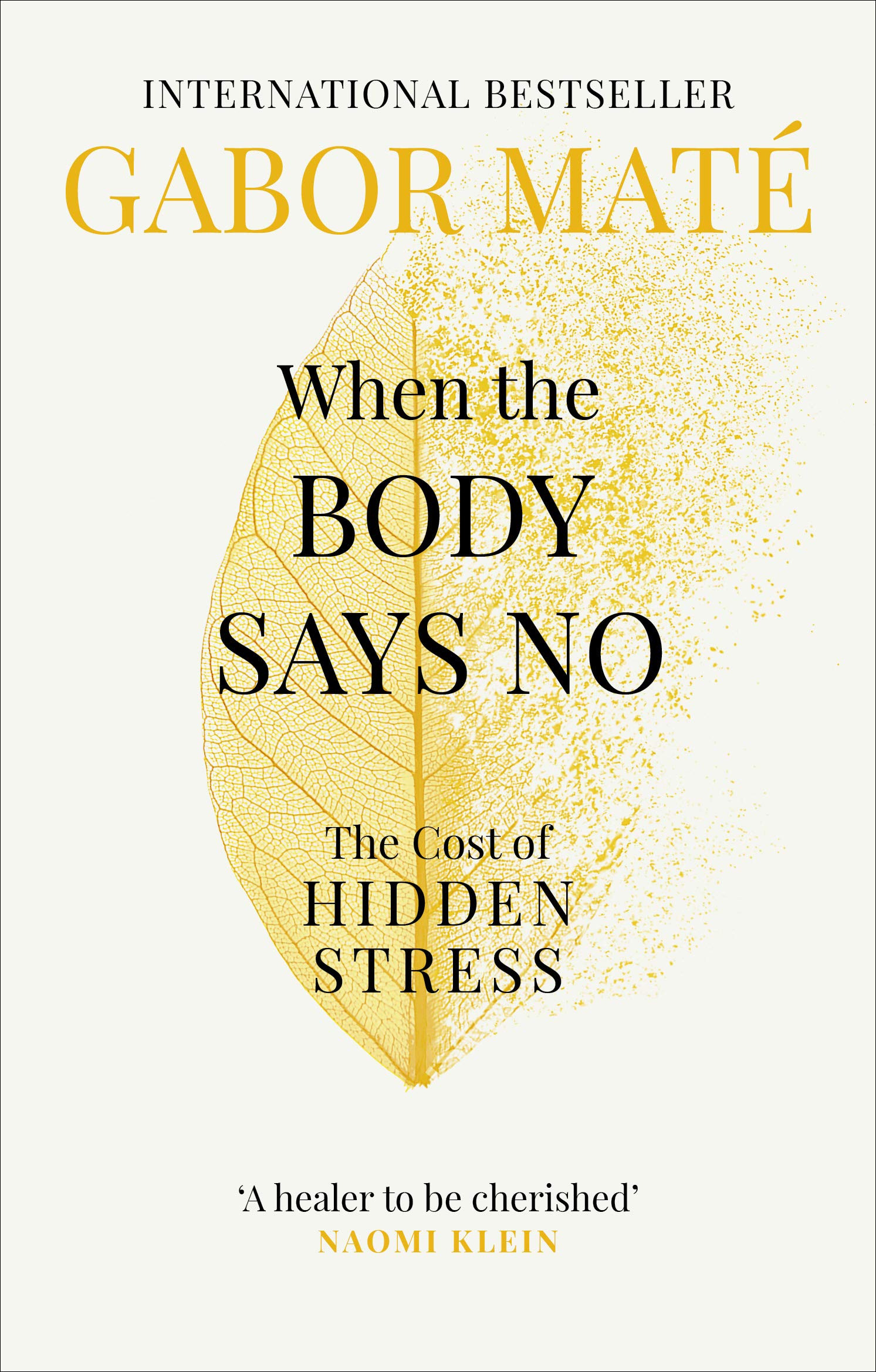 Vermilion When the Body Says No: The Cost of Hidden Stress | Paperback | 320 Pages