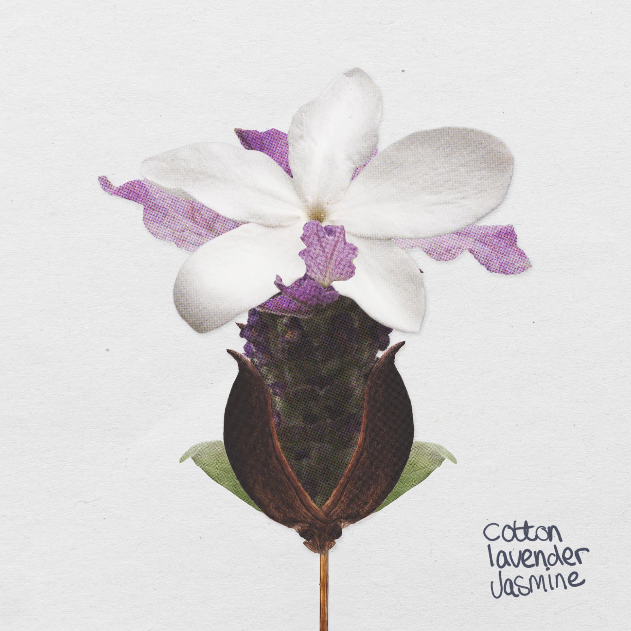 The Lab Co. - Everyday Laundry Conditioner Relaxing 1 Litre Fabric Softener 5