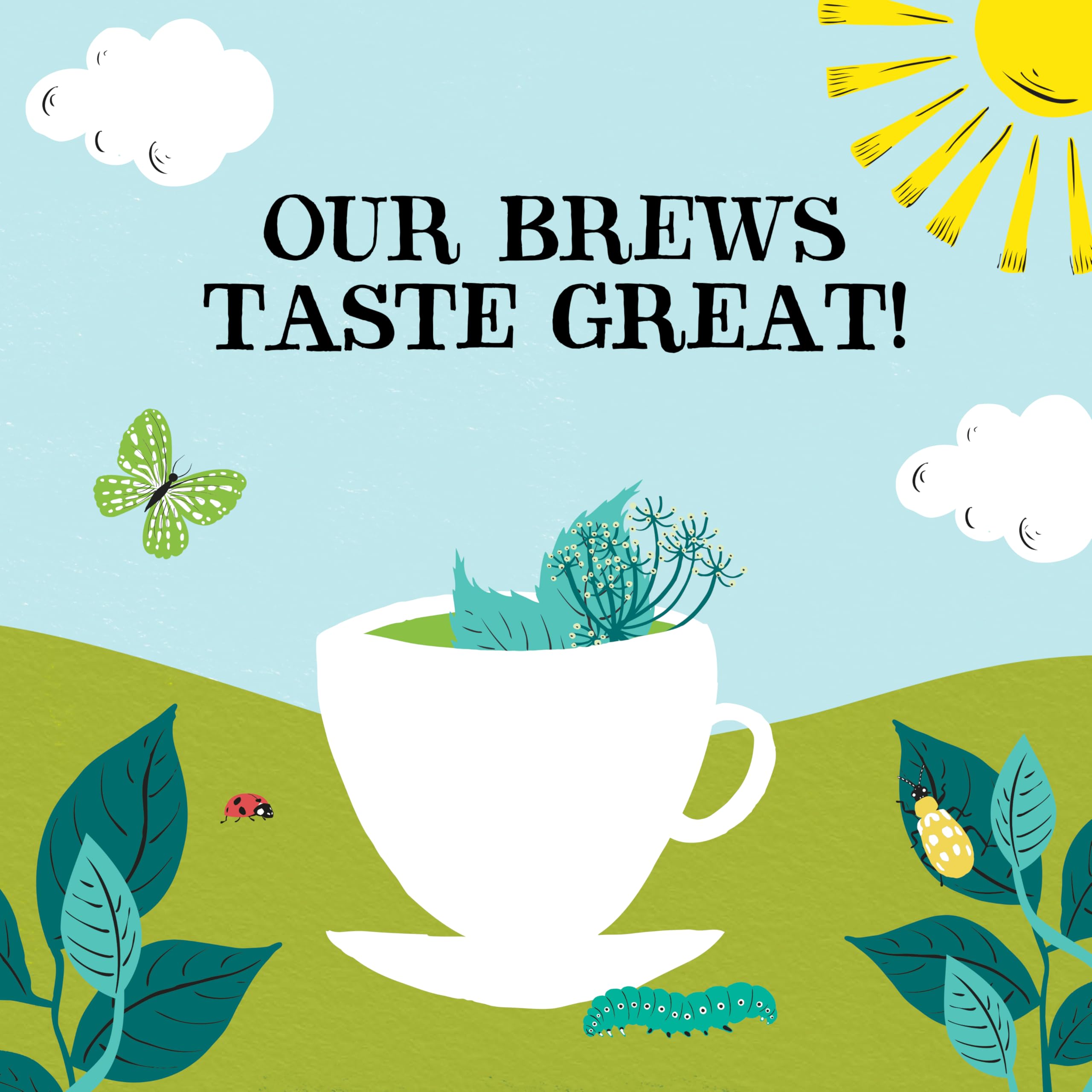 Clipper Organic After Dinner Mint & Fennel Infusion Tea Bags | 20 Unbleached Tea Sachets 7