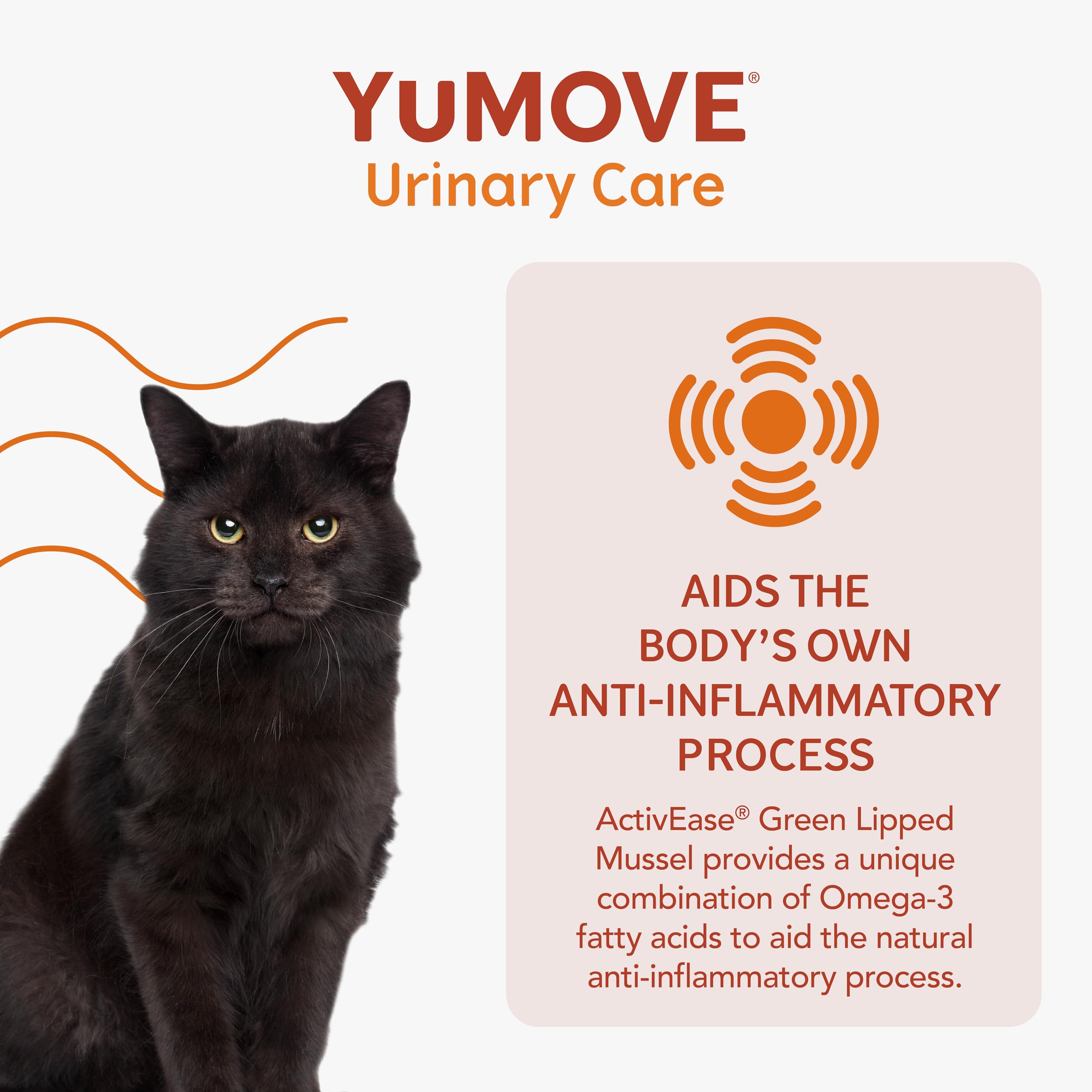 YuMOVE Urinary Care Supplements for Adult Cats - 30 Capsules, Pumpkin Flavor 5