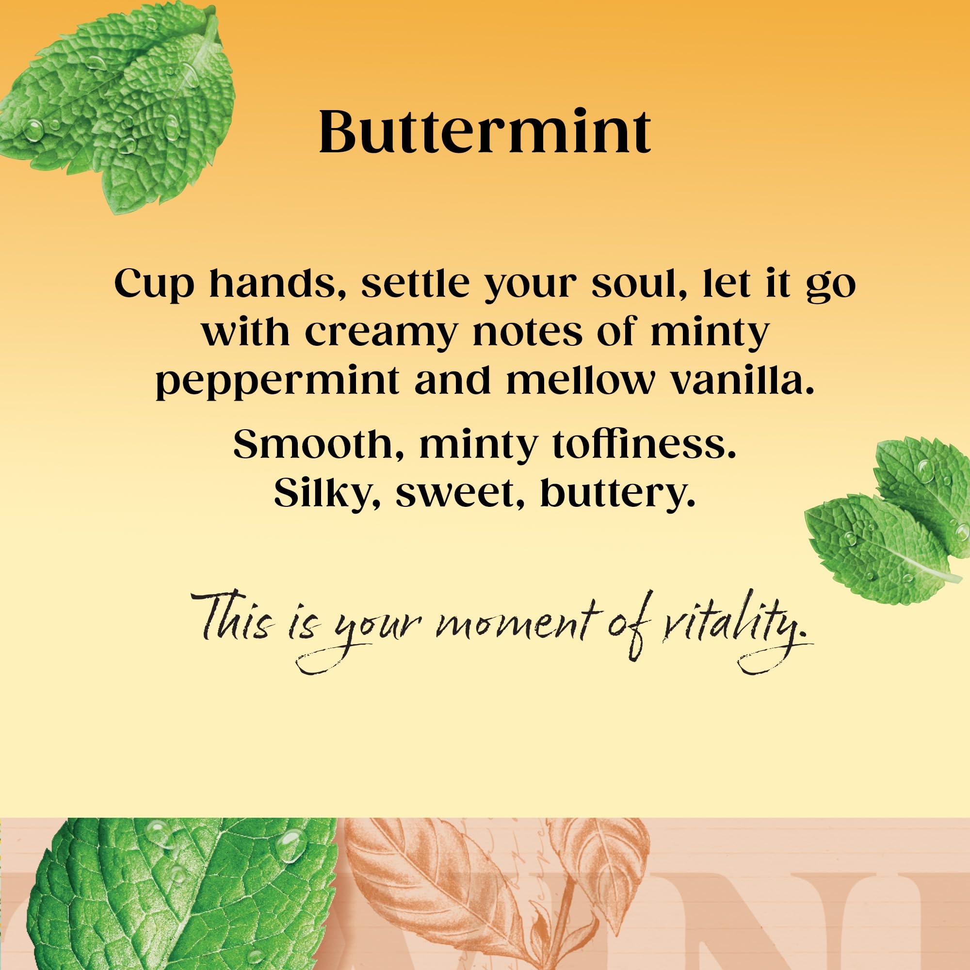 Twinings Buttermint Flavoured Tea Bags - 80 Count (Pack of 4) Biodegradable Bags 3