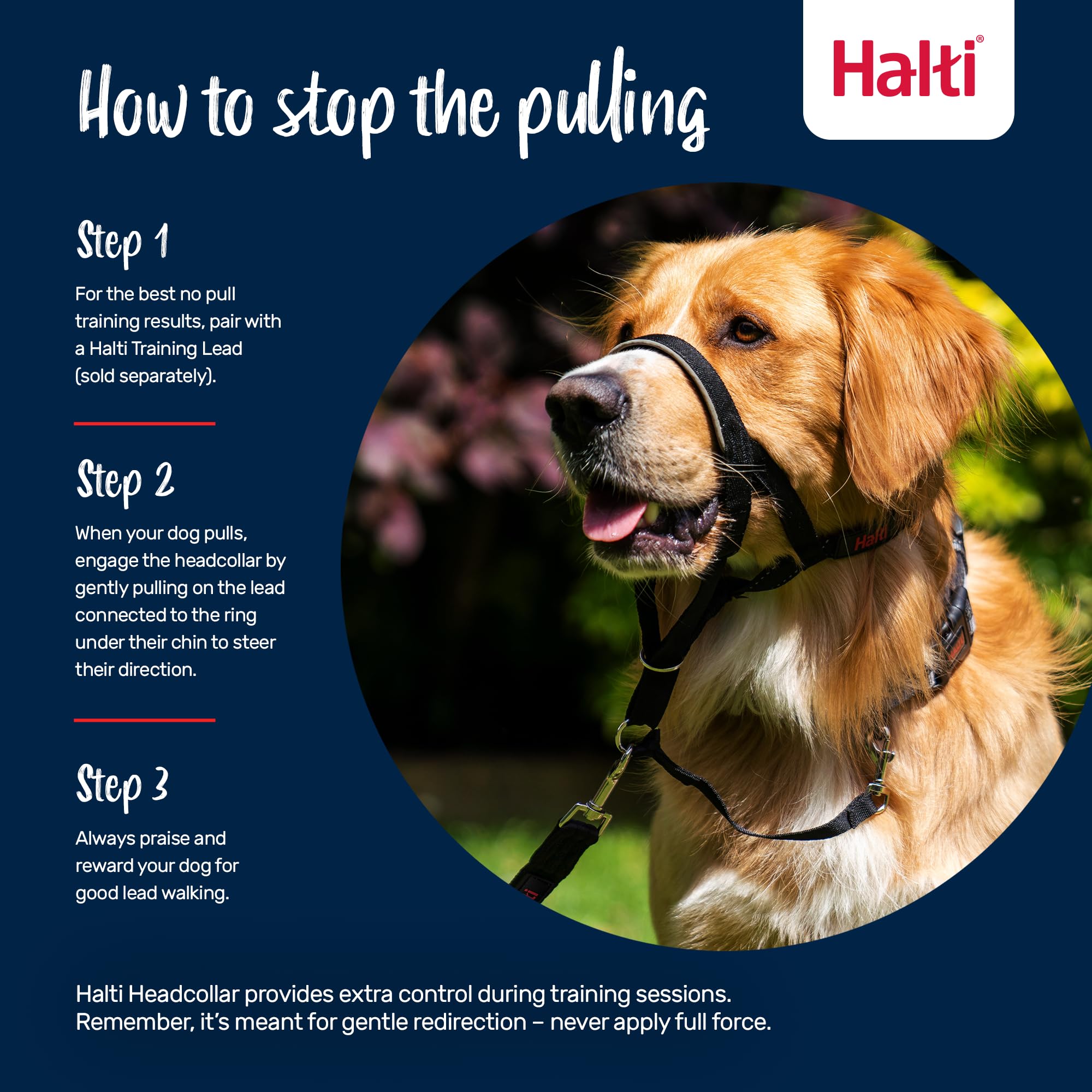 Halti Headcollar for Dogs - Stops Pulling | Size 2, Pink 4