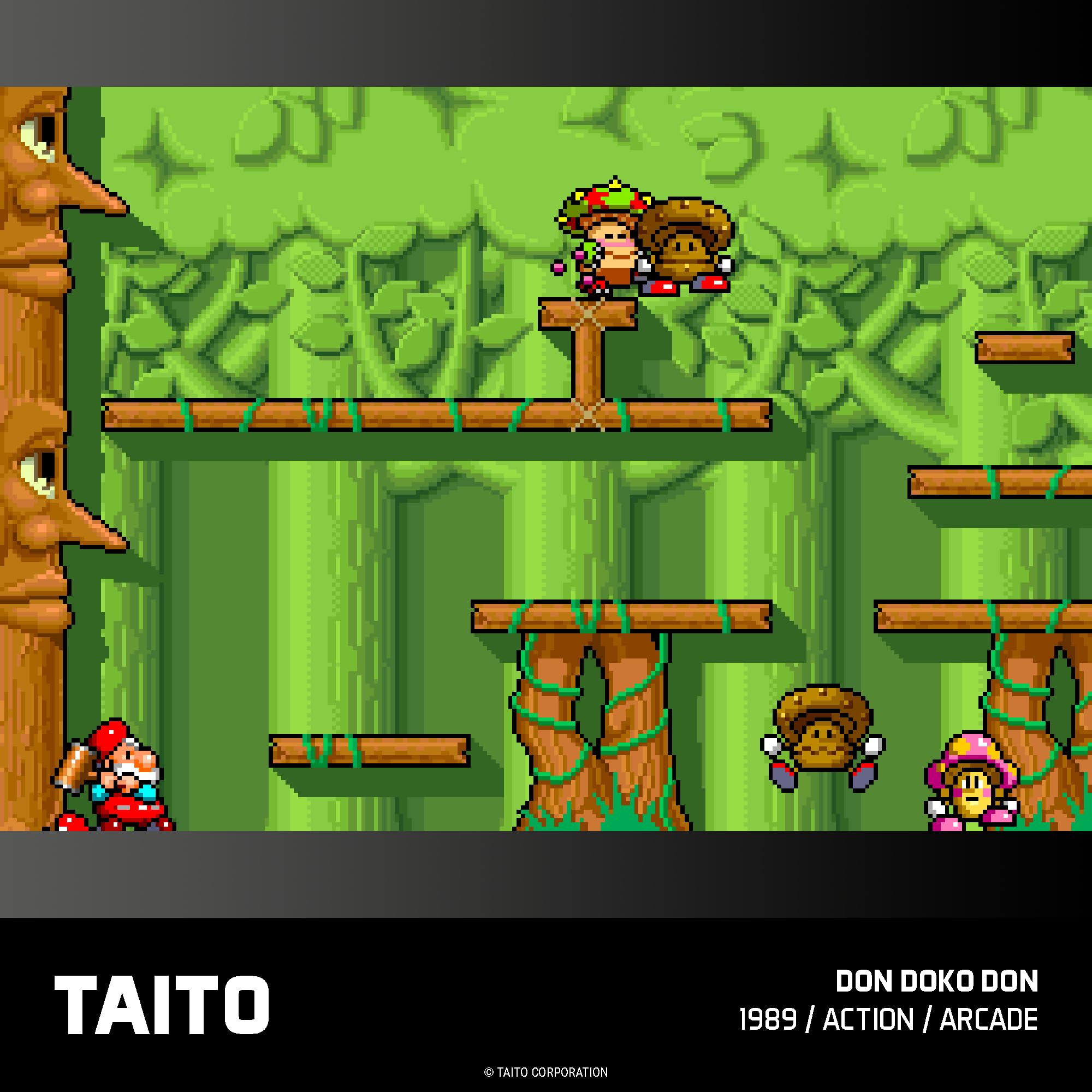 Taito Arcade 1 - Evercade Cartridge 7