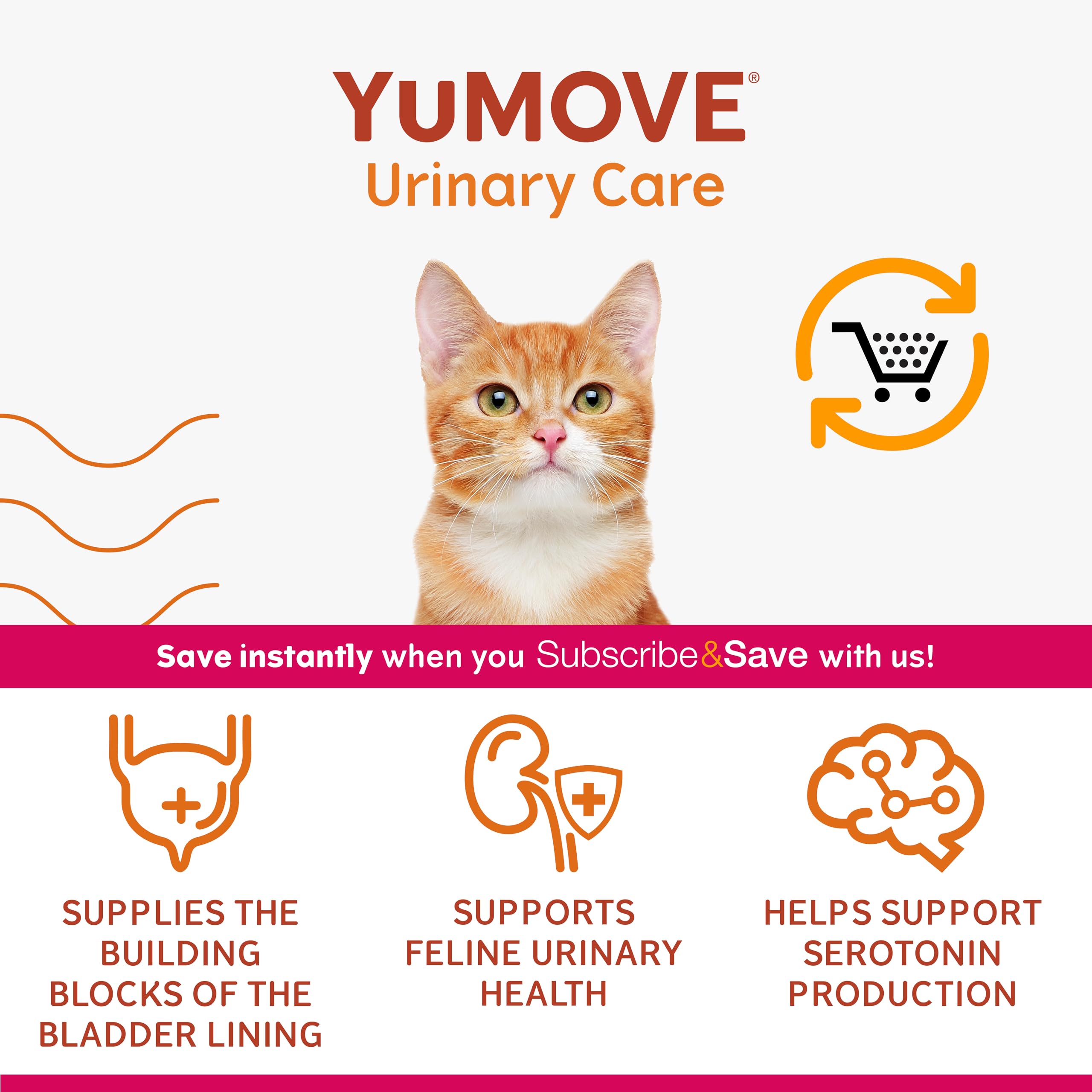 YuMOVE Urinary Care Supplements for Adult Cats - 30 Capsules, Pumpkin Flavor 4