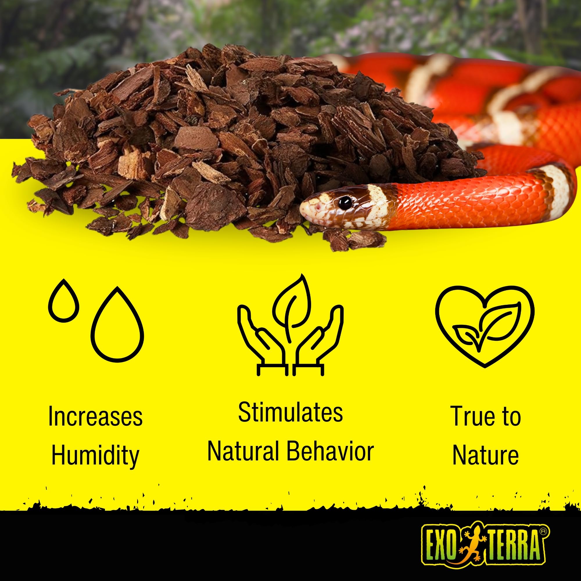 Exo Terra Forest Bark Substrate - 100% Natural Fir Bark | 4.4L Volume | Moisture Control