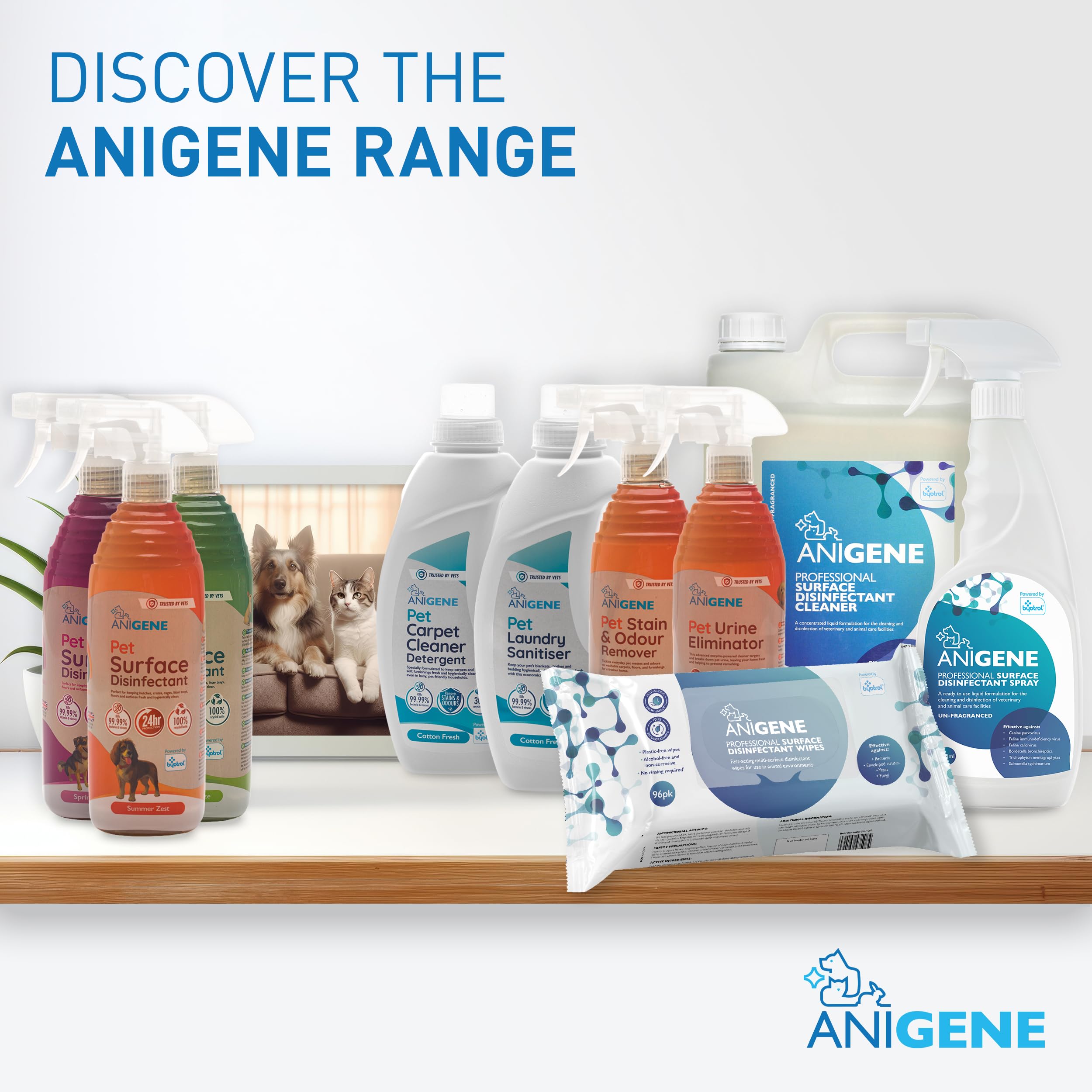 Byotrol ANIGENE Pet Stain & Odour Remover Spray - 750ml Summer Zest | Vet Quality | UK Made 6