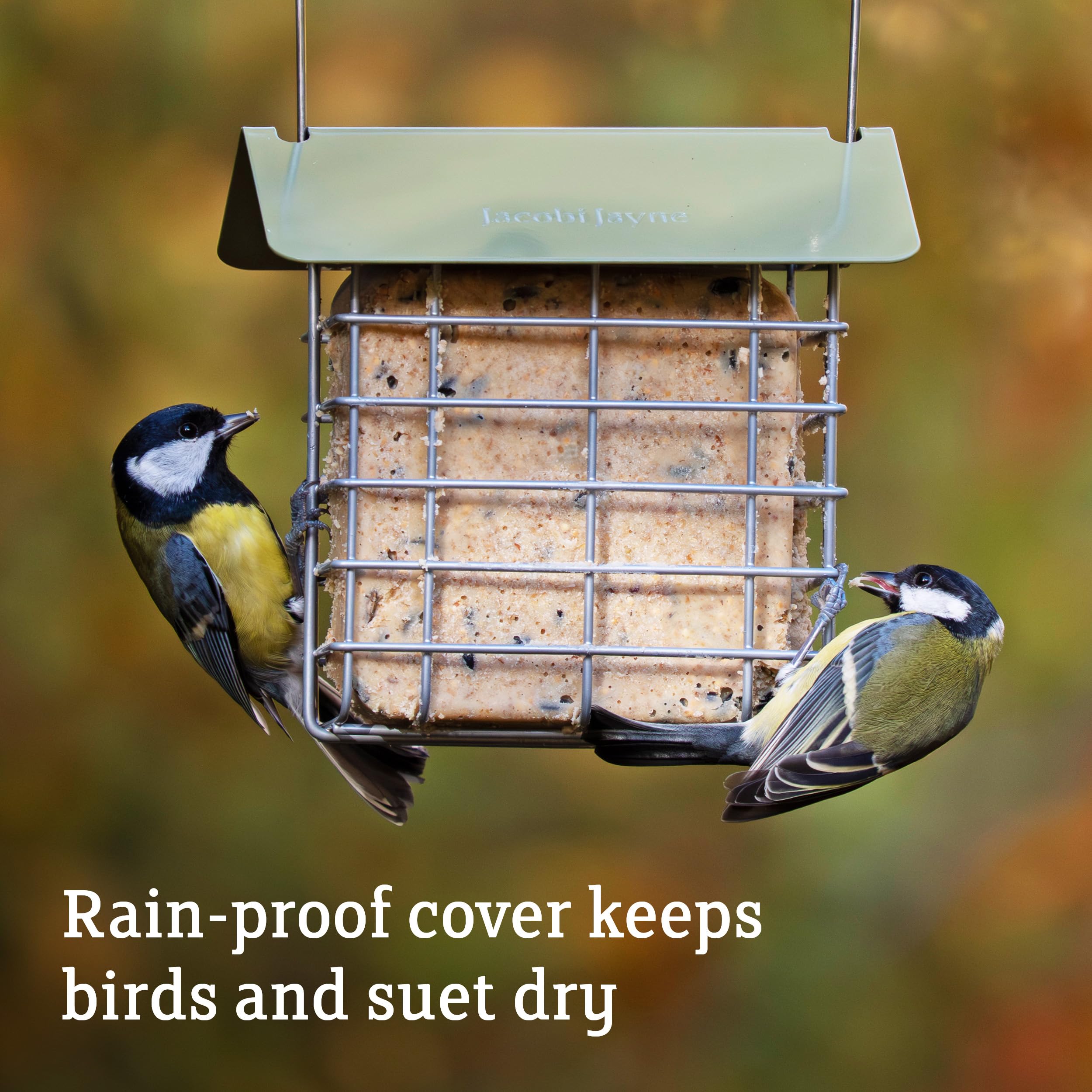 Jacobi Jayne Suet Cake Feeder - Holds 2 Suet Blocks | Weather Resistant Green Feeder